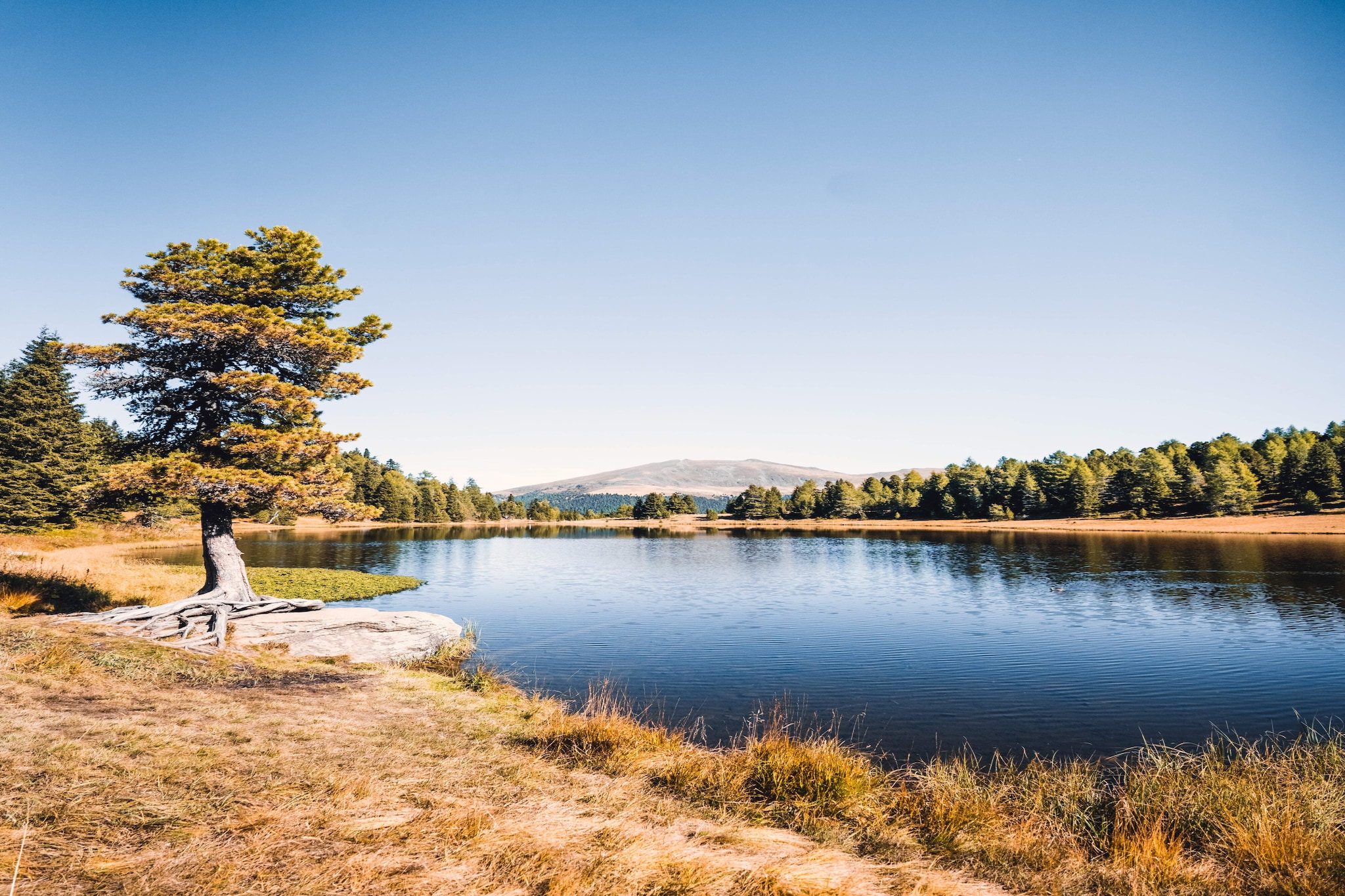 Naturchalets Turracher Höhe 30 - Im Freien