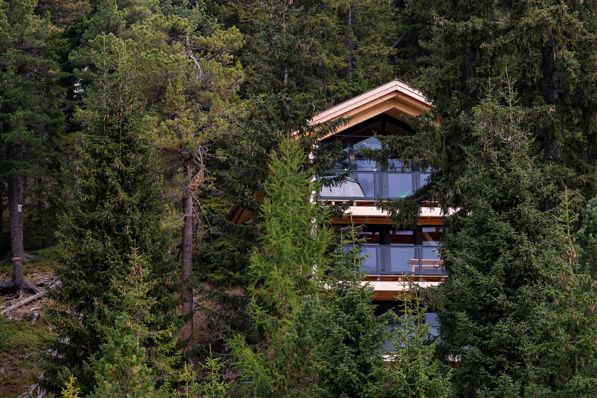 Naturchalets Turracher Höhe 32 - Outdoor