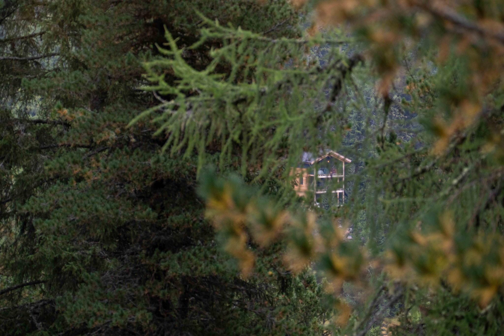 Naturchalets Turracher Höhe 32 - Outdoor