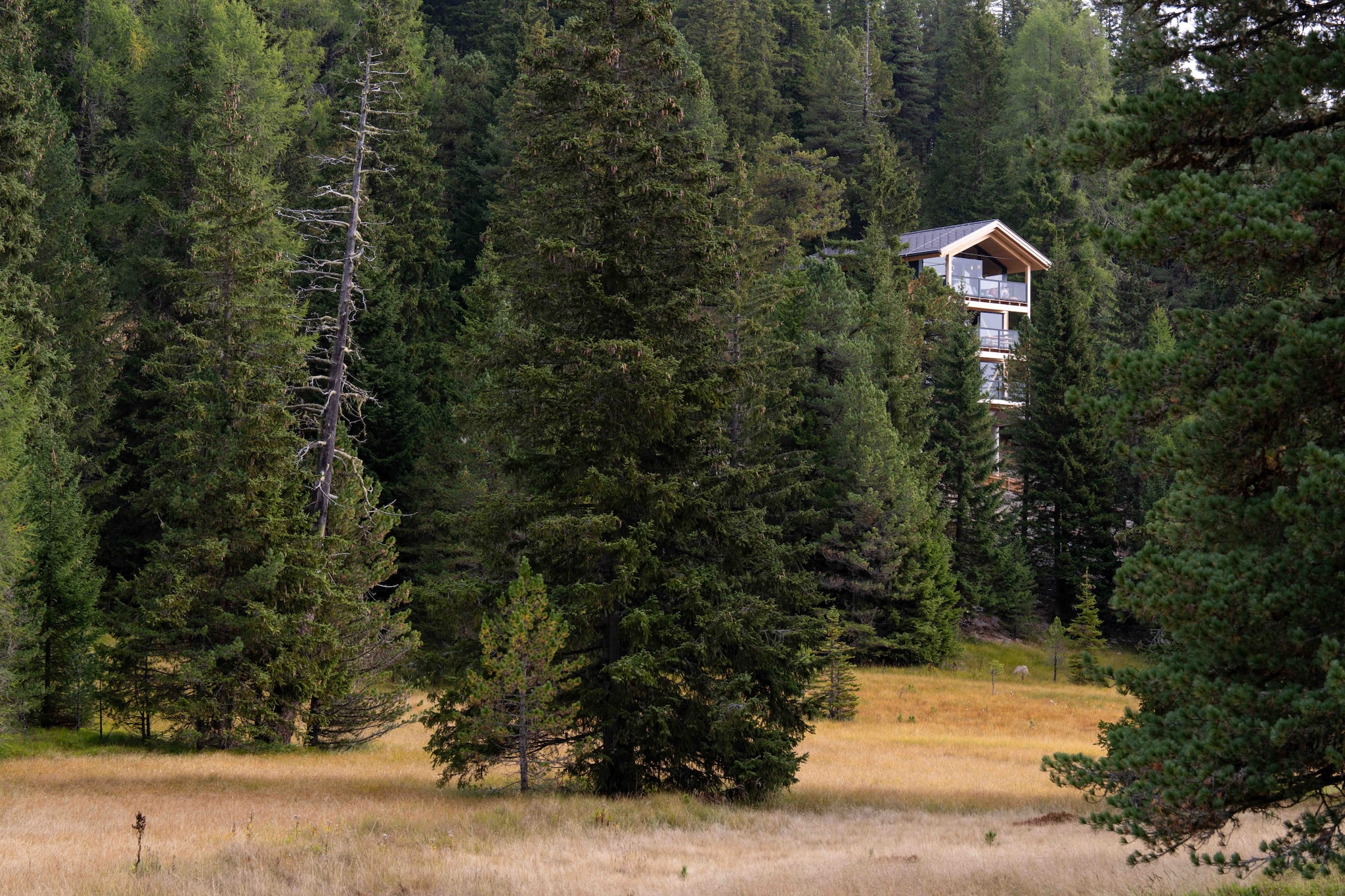 Naturchalets Turracher Höhe 32 - Outdoor