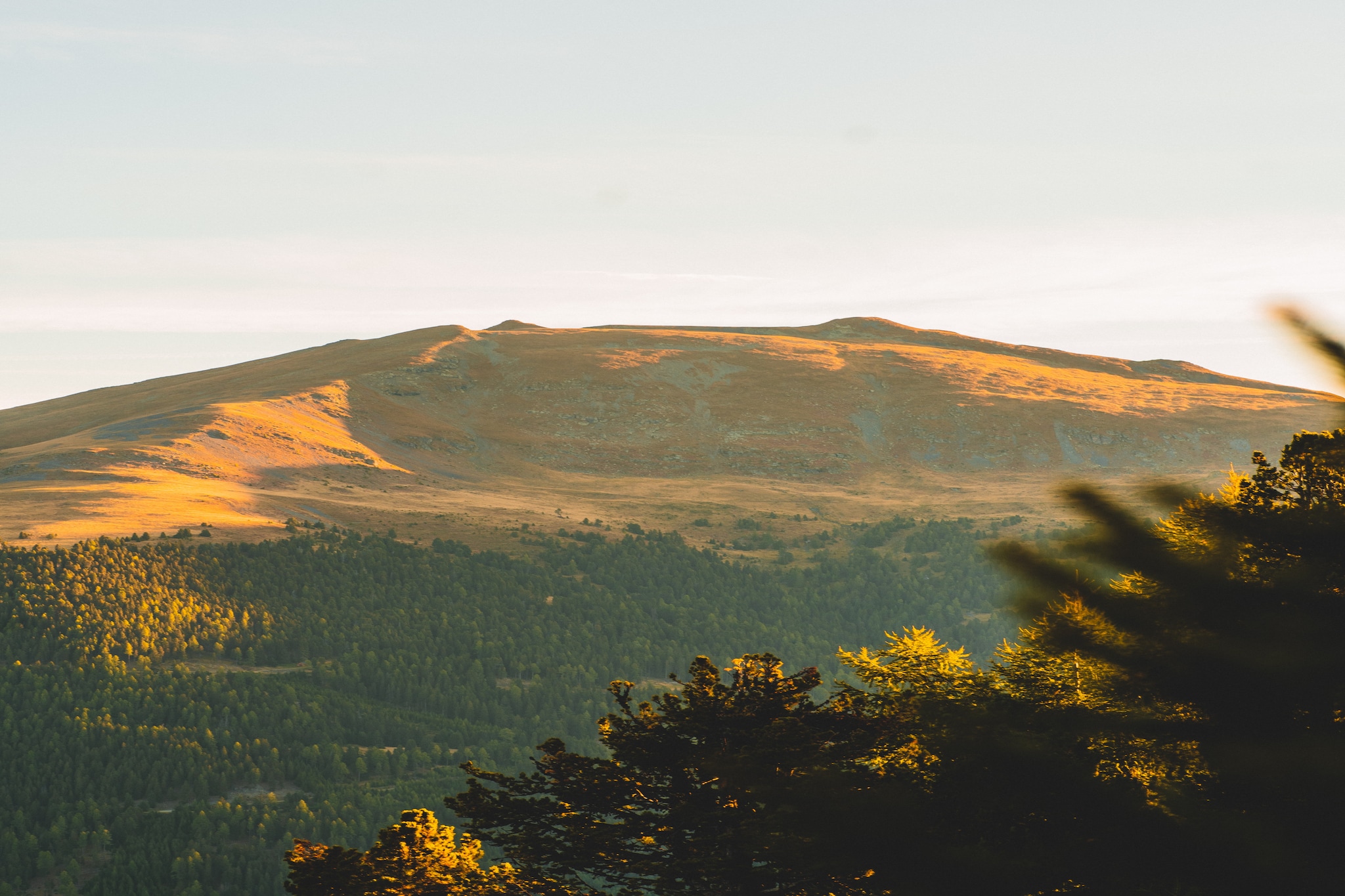 Naturchalets Turracher Höhe 32 - Outdoor