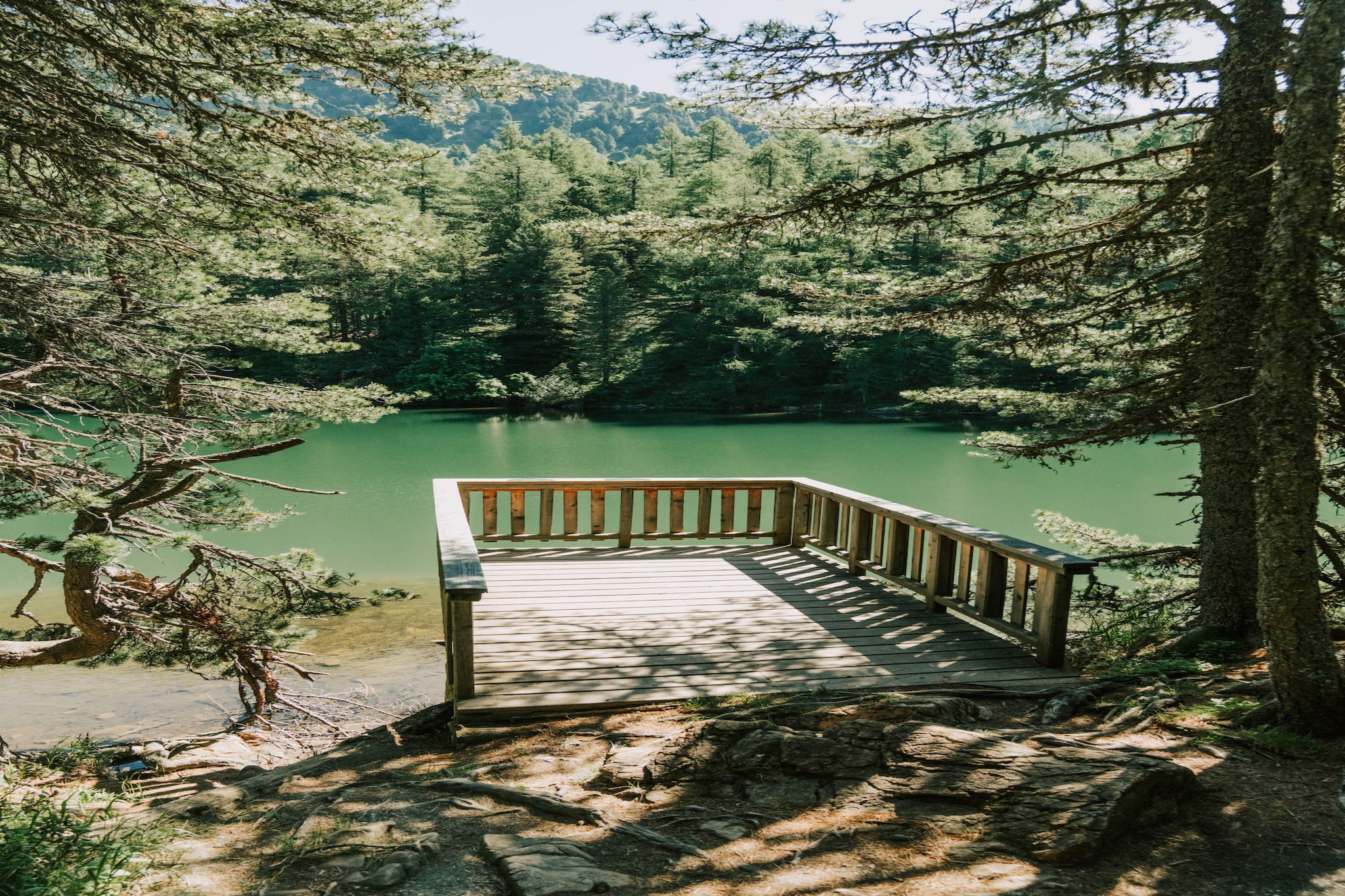 Naturchalets Turracher Höhe 53 - Outdoor