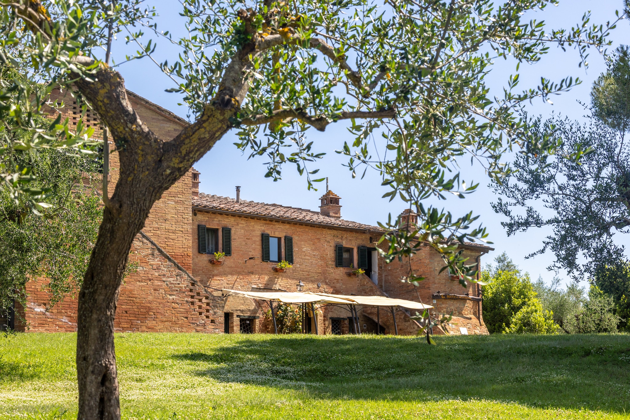 Agriturismo La Grotta di Montecchino App Oliva - Buitenlucht