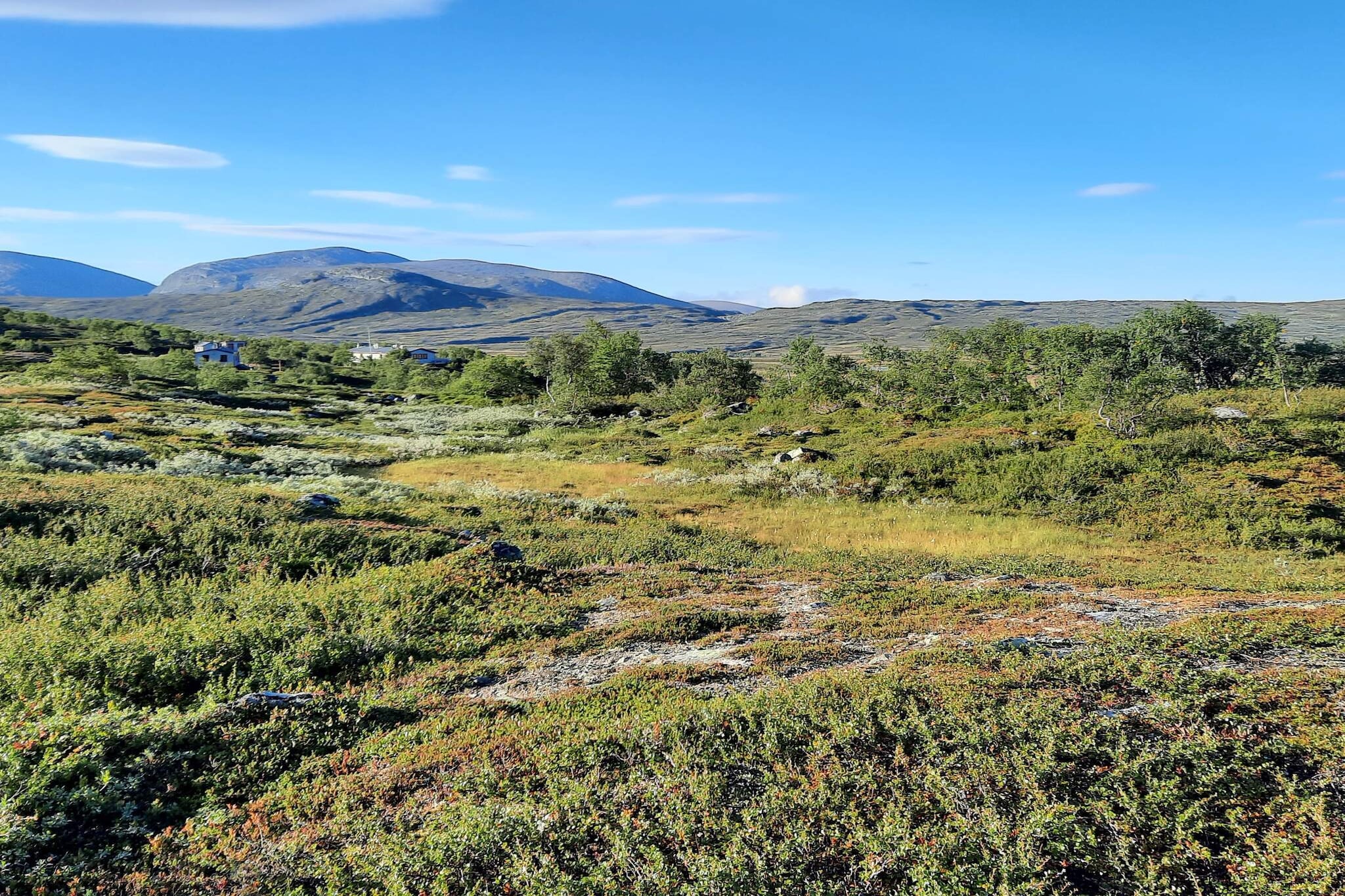 5 star holiday home in Sälen