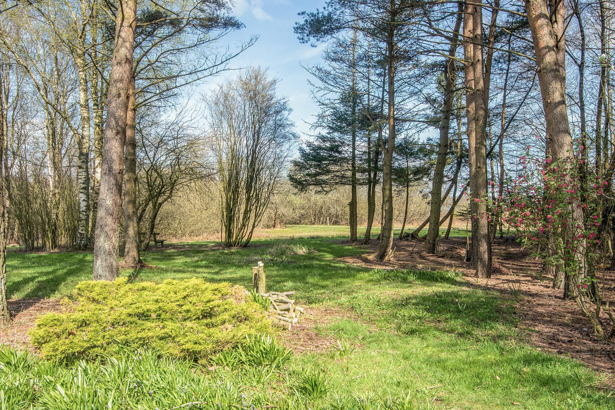 4 Sterne Ferienhaus in Ansager - Aussicht