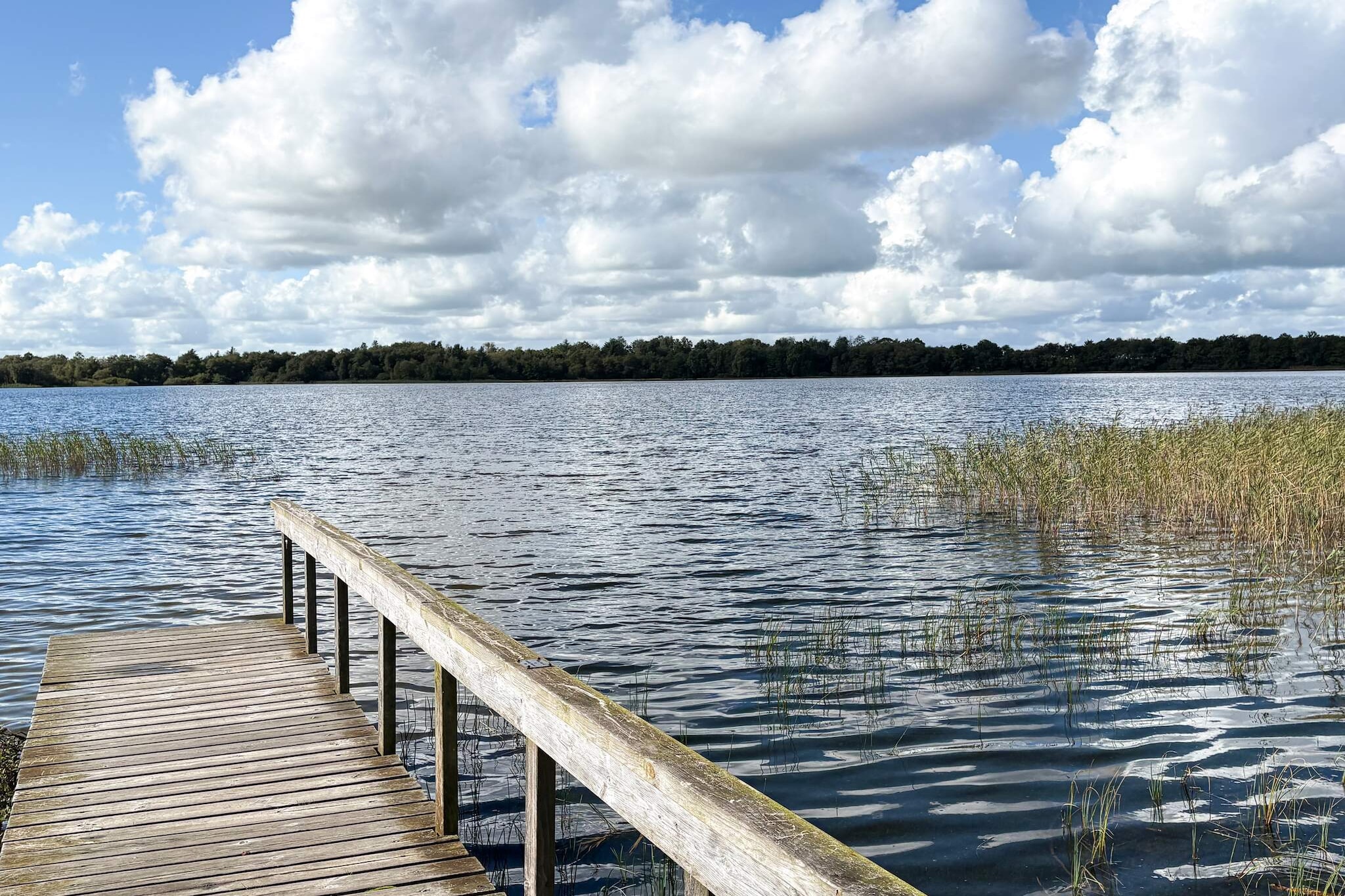 4 sterren vakantie huis in Ansager