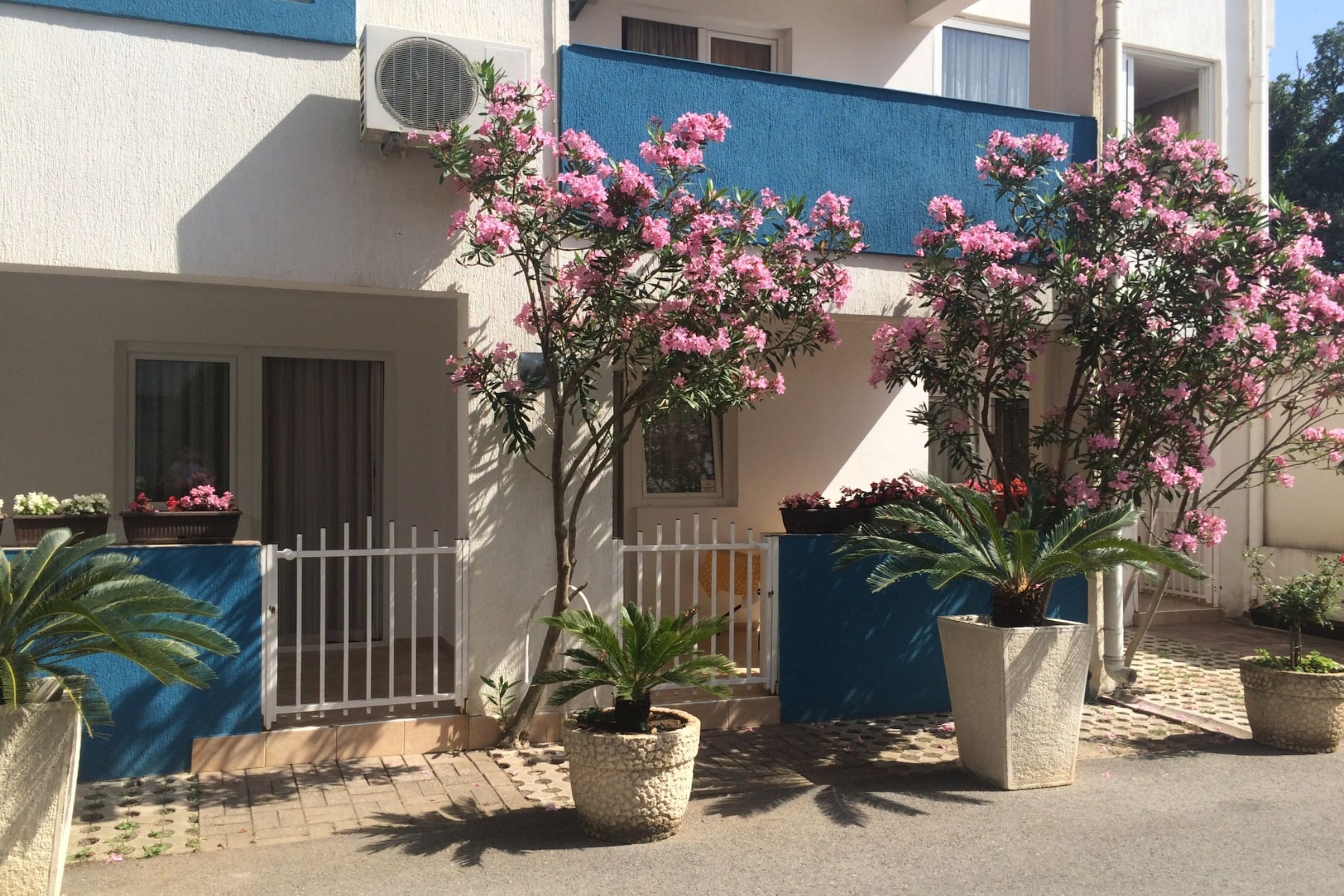 Apartments Aleksić, Bečići - Studio Apartment  with Terrace 3 - Outdoor