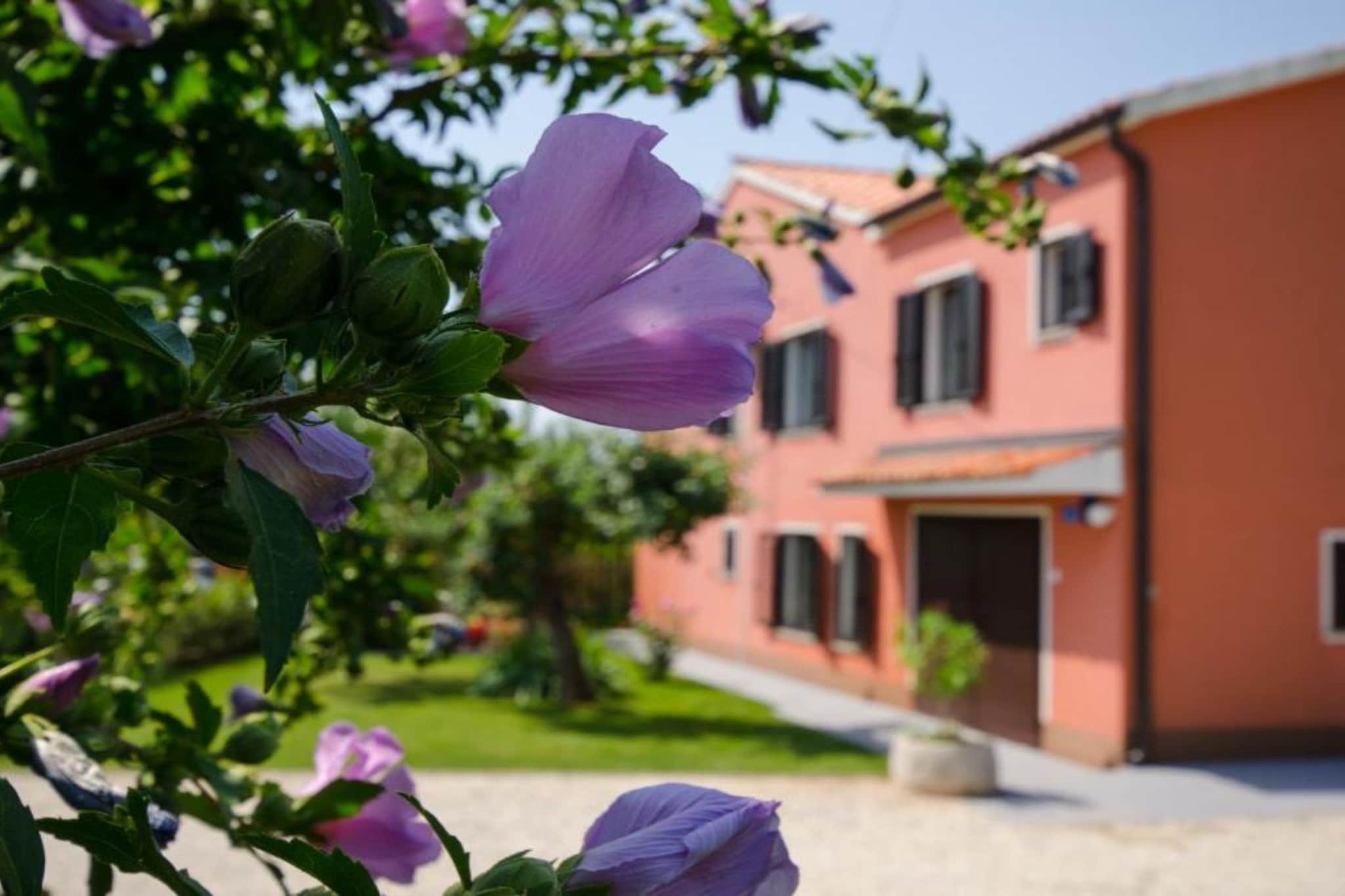 Comfort Villa Roza in Umag - Five Bedroom Villa With Pool - Im Freien