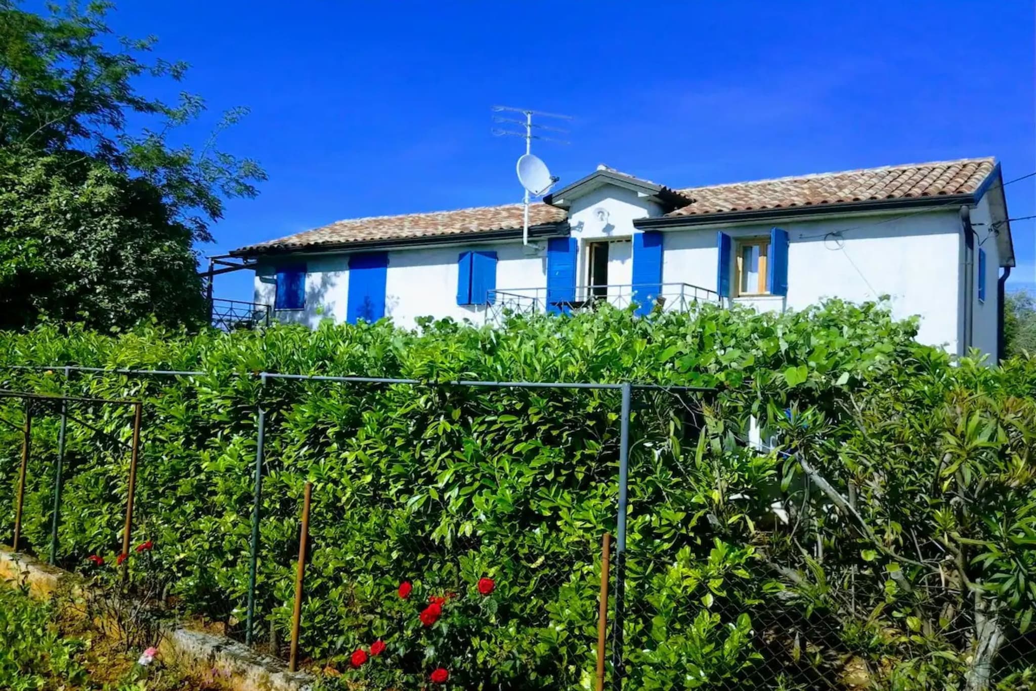 Authentic Istrian Apartments Villa Zambratija - Two Bedroom Apartment with Terrace and Garden - Buitenlucht
