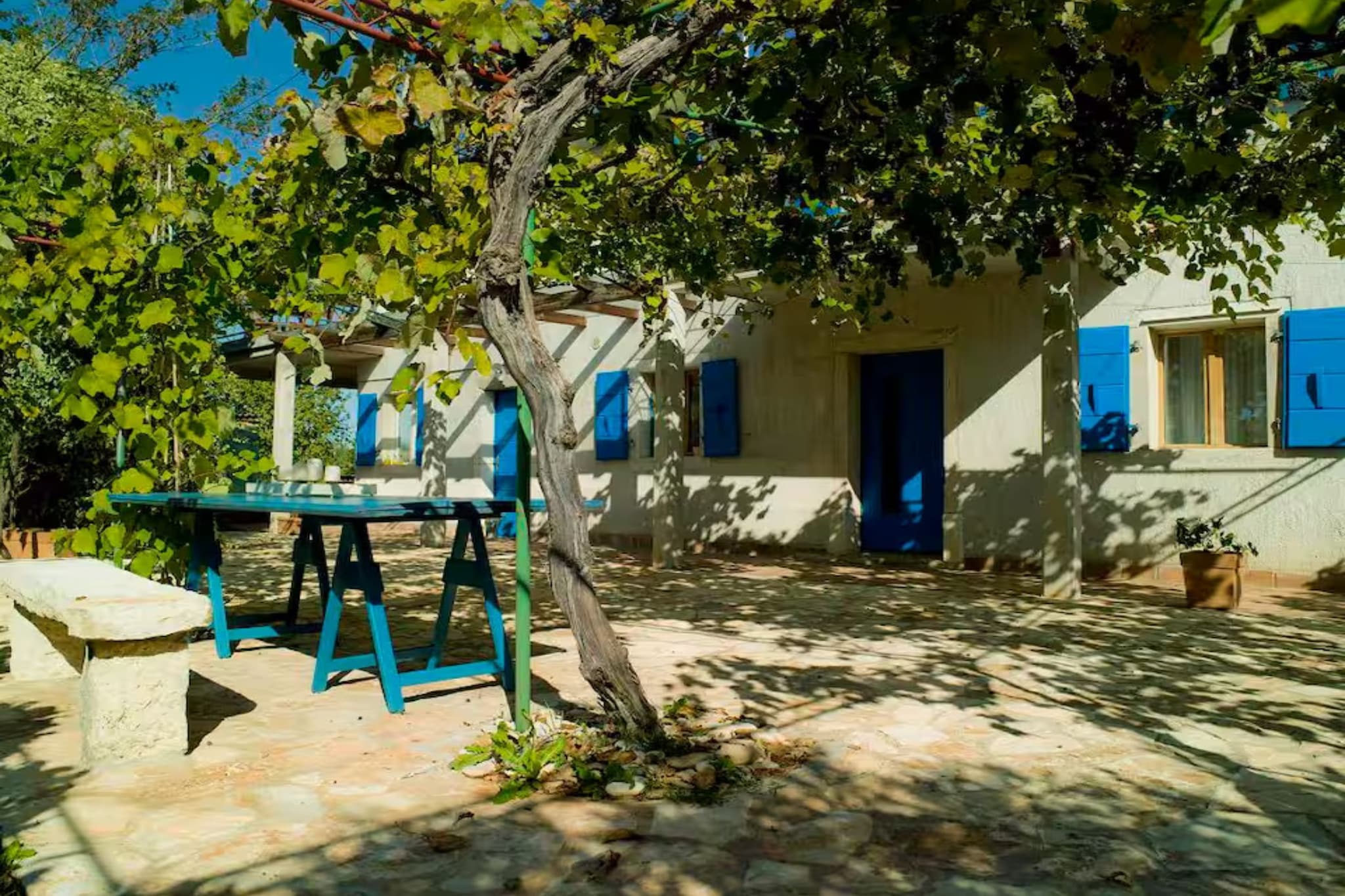 Authentic Istrian Apartments Villa Zambratija - Two Bedroom Apartment with Terrace and Garden - Tuinen zomer