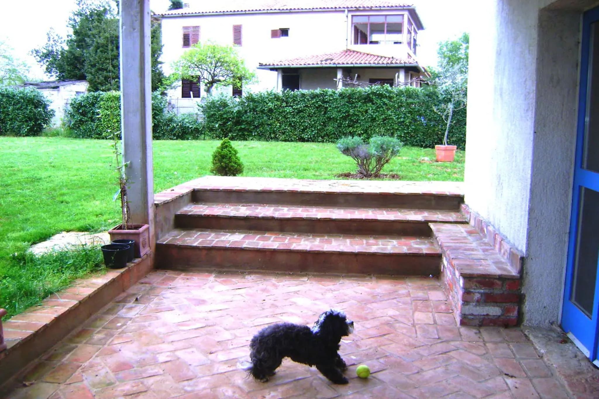 Authentic Istrian Apartments Villa Zambratija - Two Bedroom Apartment with Terrace and Garden - Tuinen zomer
