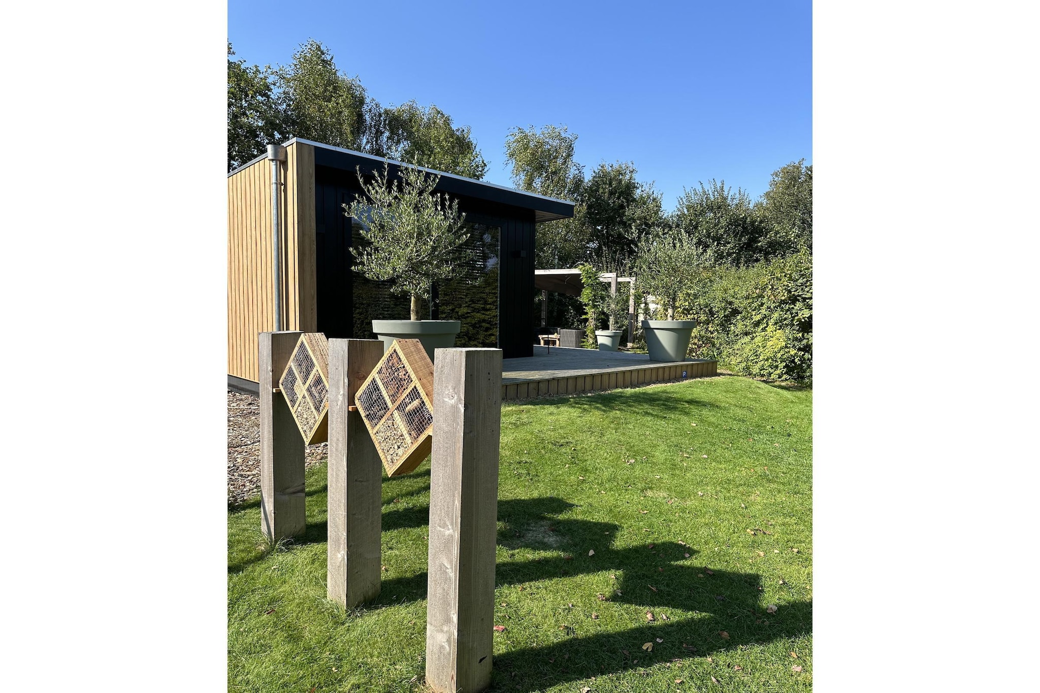 Chalet de Blauwe regen - Buitenkant zomer