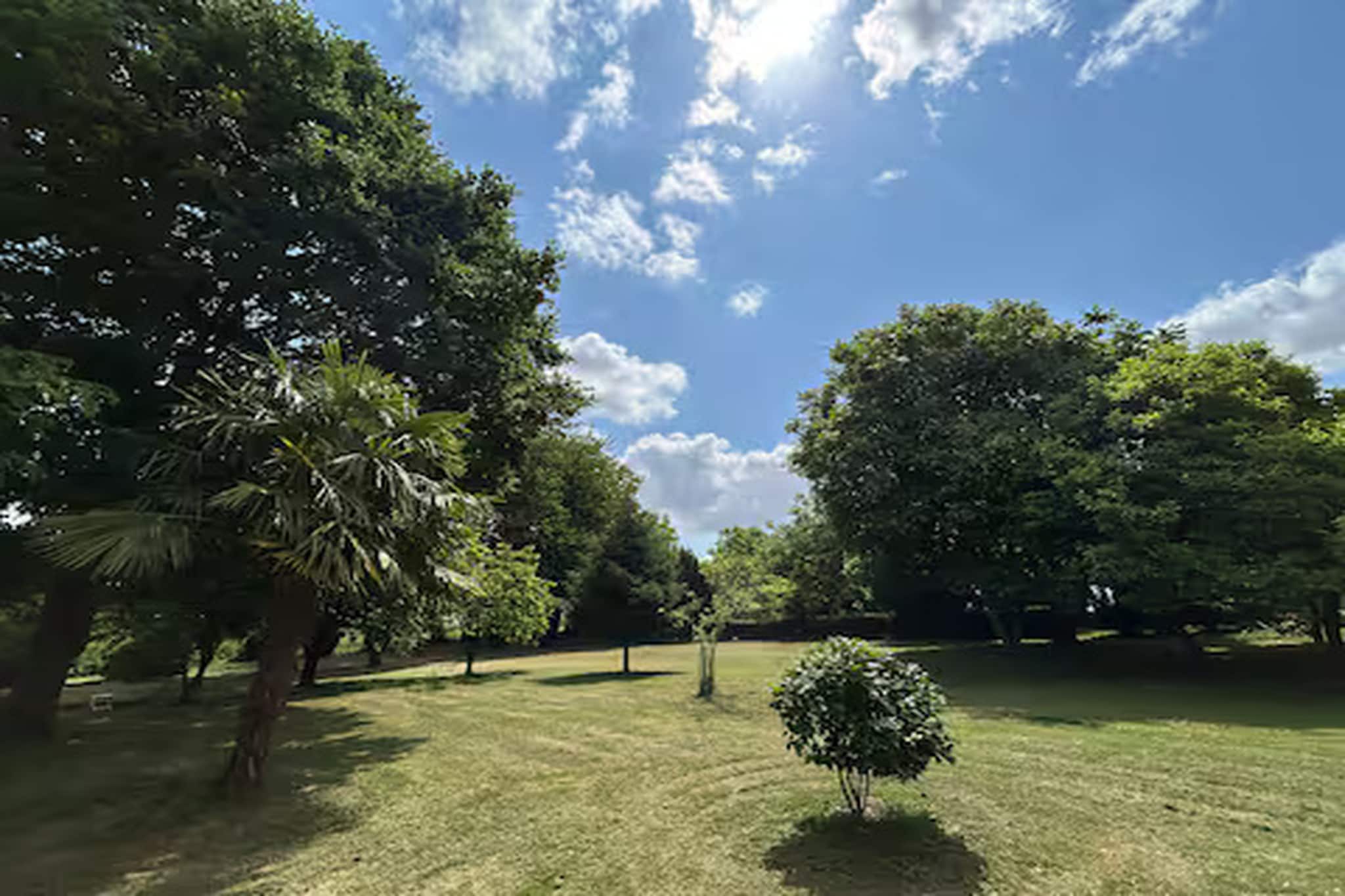 Garden Summer