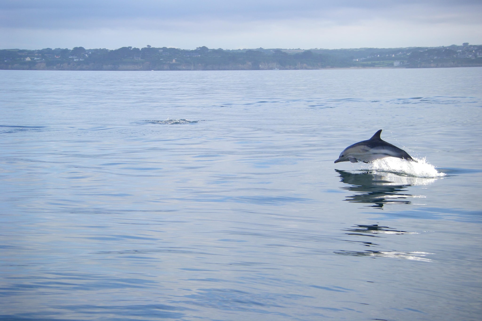 Ferienwohnung in Plougonvelin - Gebieden zomer 20km