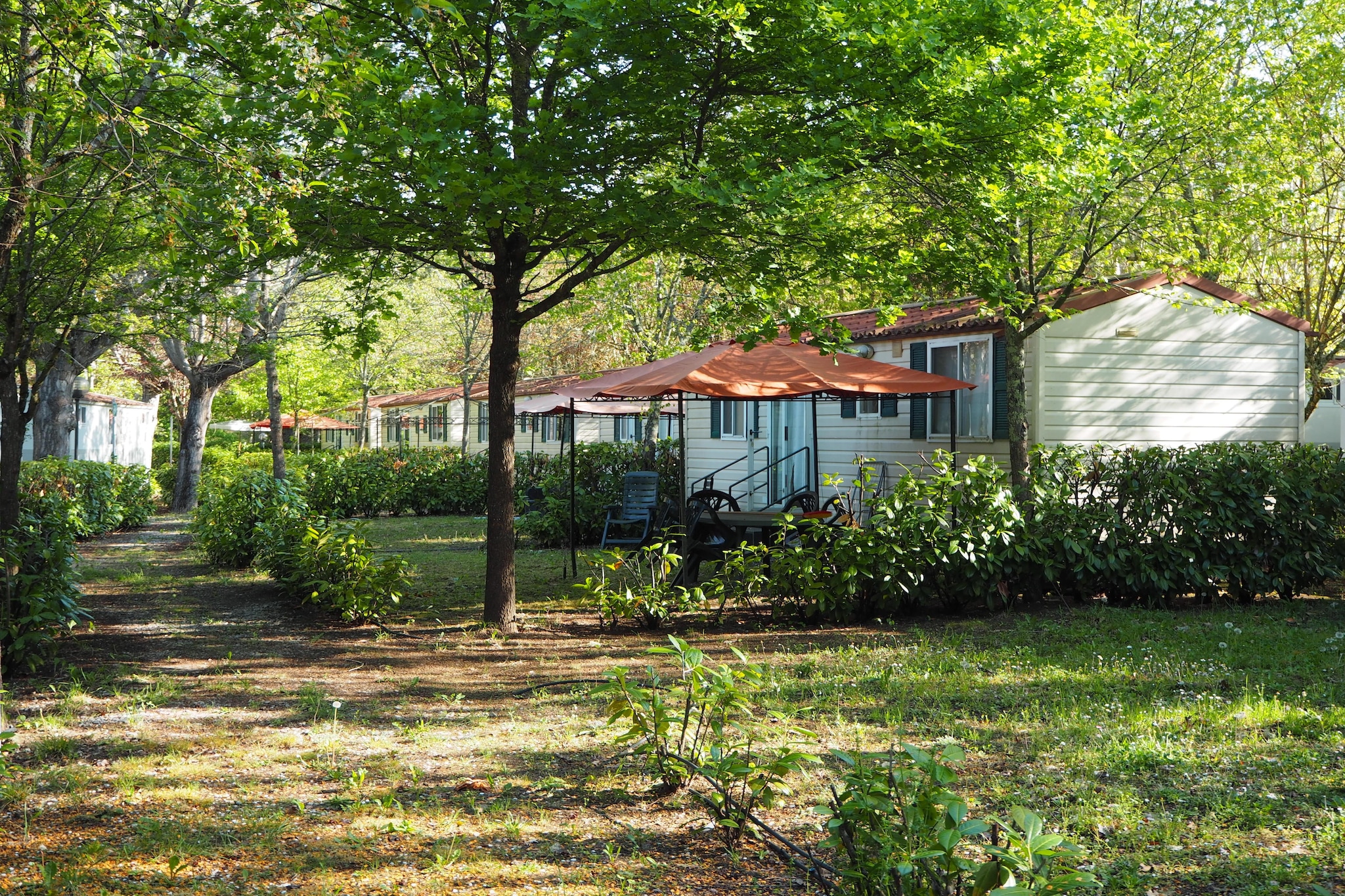 Camping Village La Chiocciola 4p2 - Gebieden zomer 1km