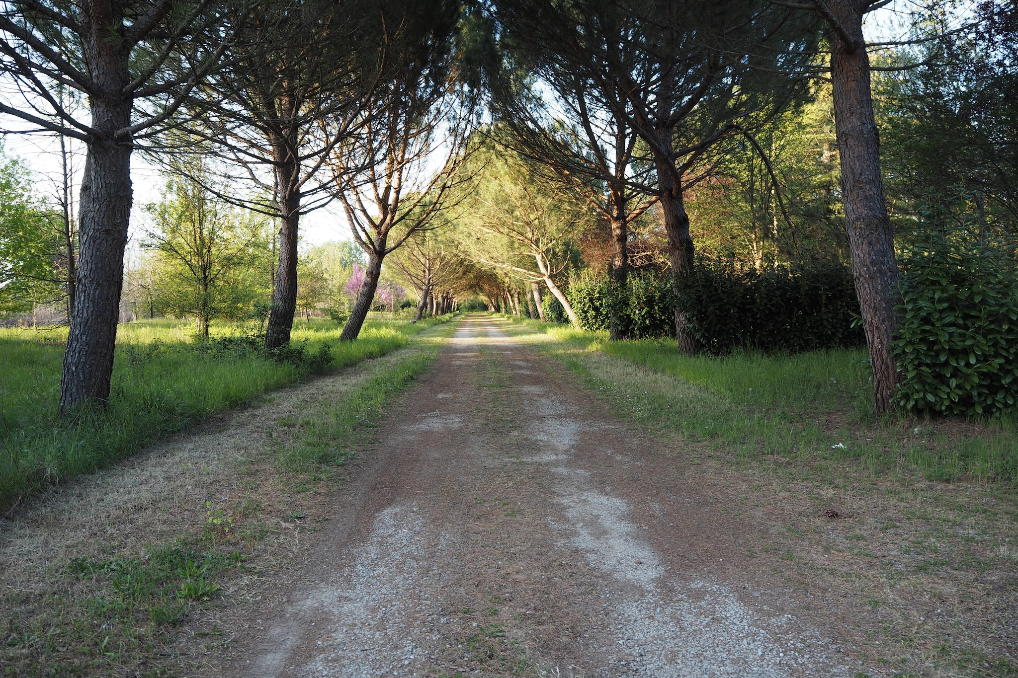Camping Village La Chiocciola 4p3 - Gebieden zomer 1km