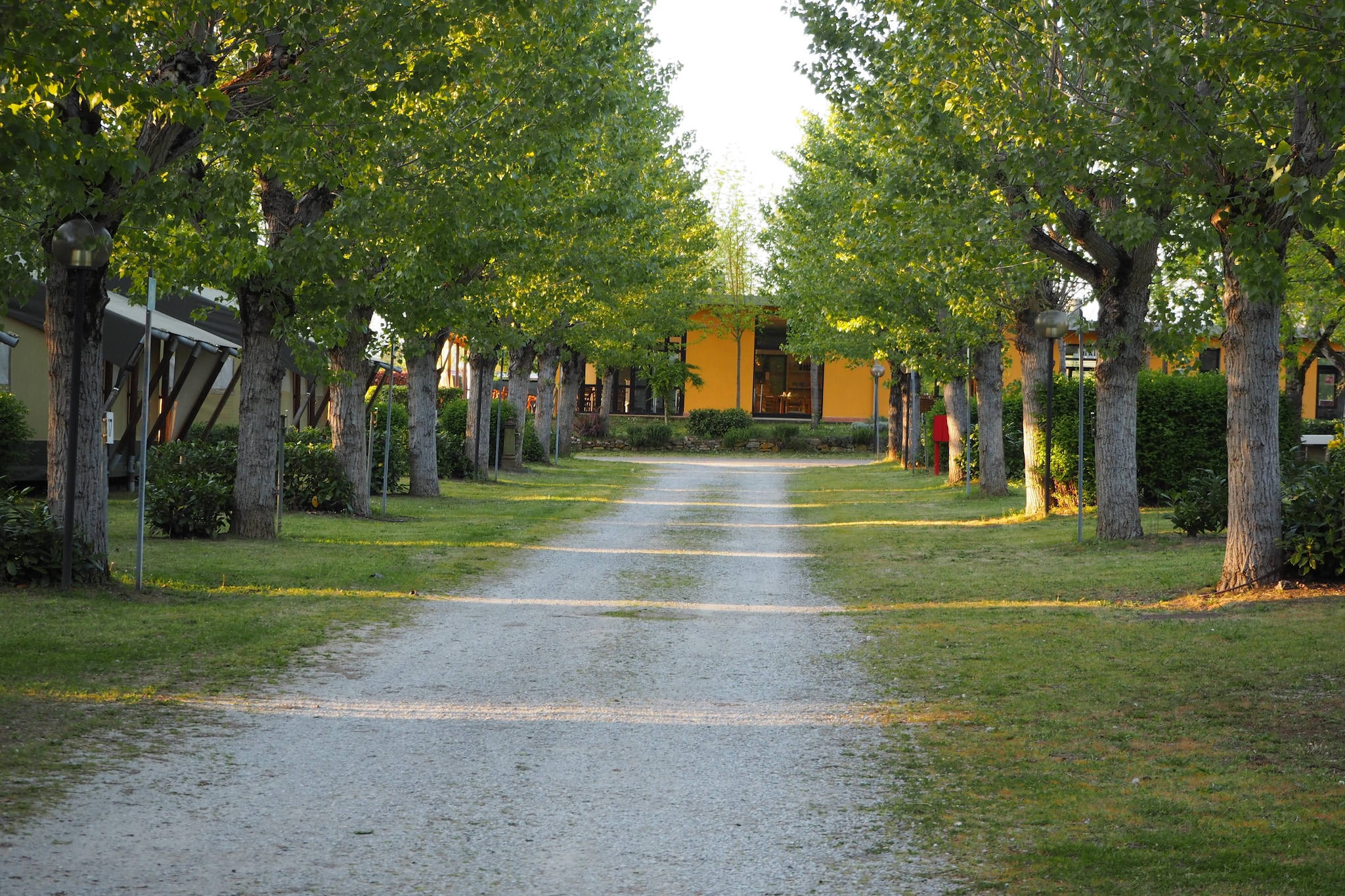Camping Village La Chiocciola 4p3 - Gebieden zomer 1km