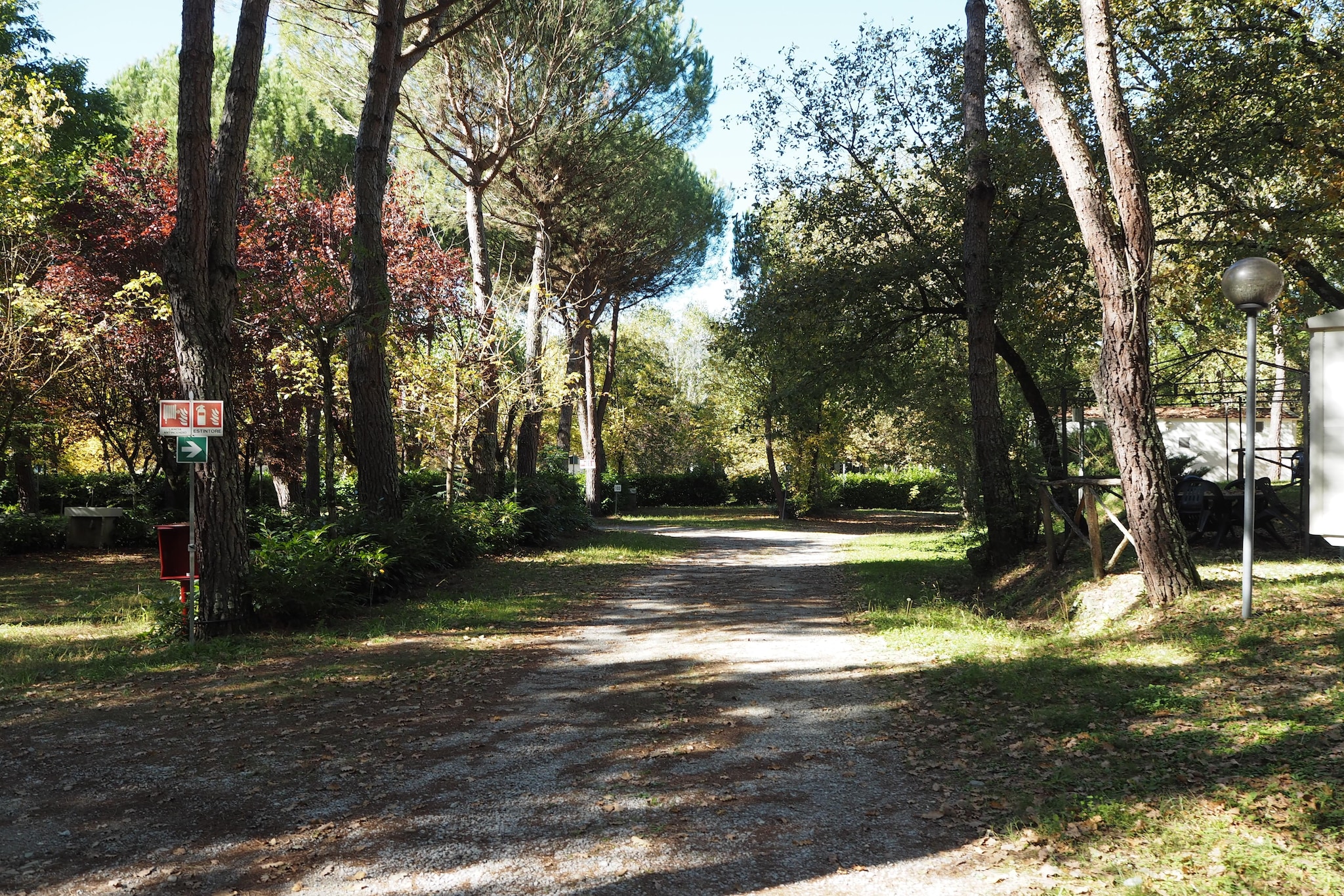 Camping Village La Chiocciola 5p1 - Gebieden zomer 1km