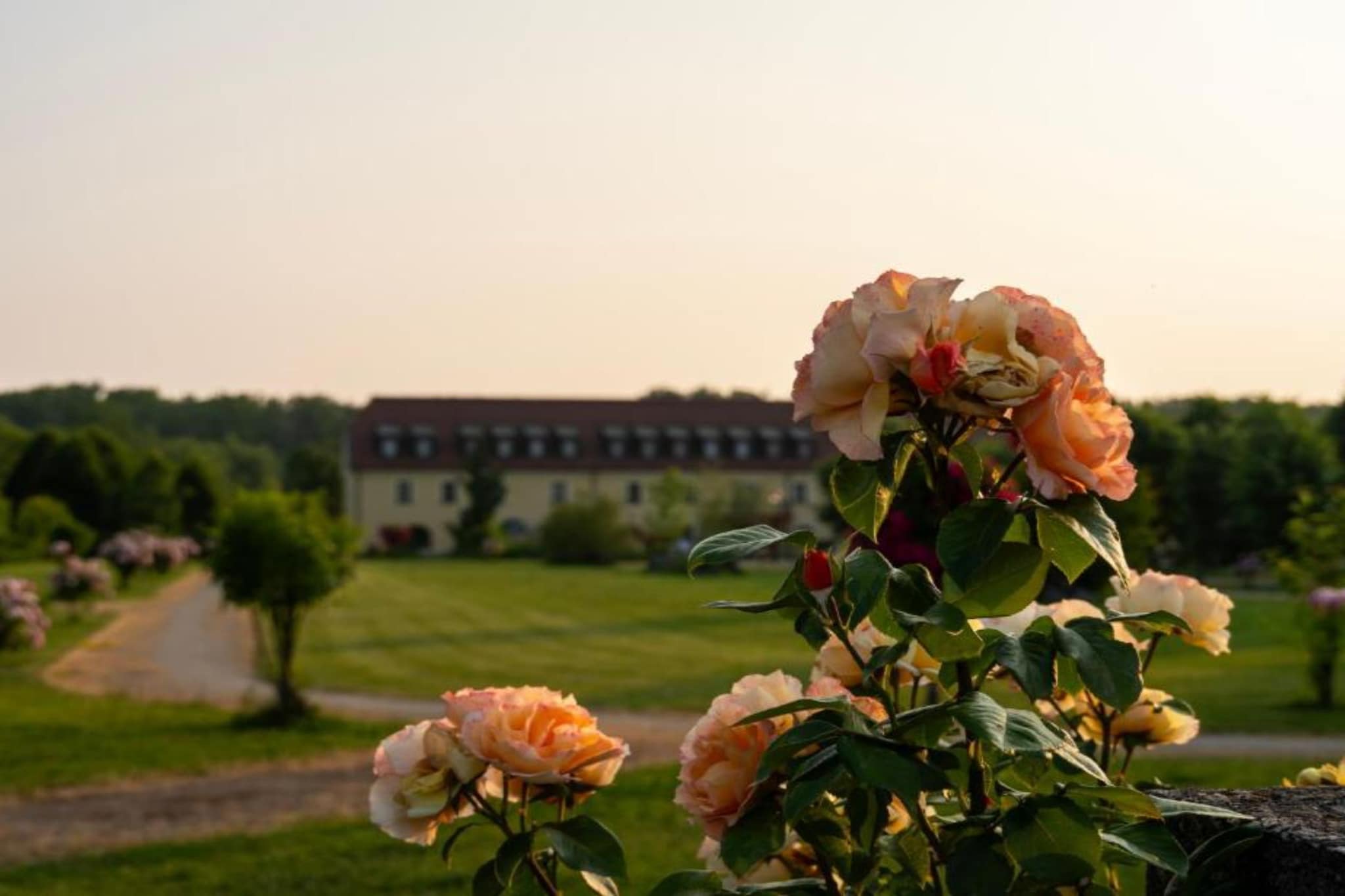 Jurjevec Castle - Standard room 2 - Jardins en été