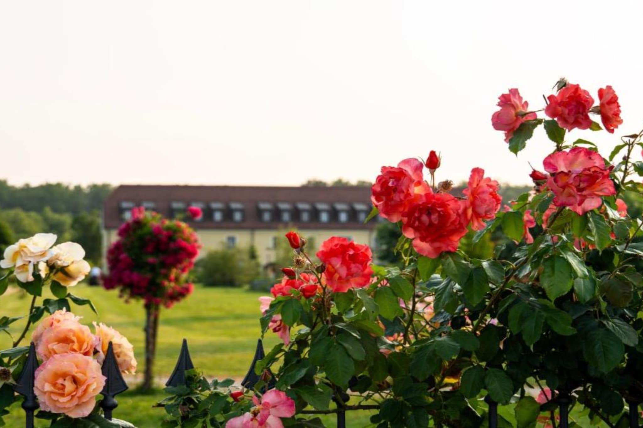 Jurjevec Castle - Standard room 5 - Jardins en été