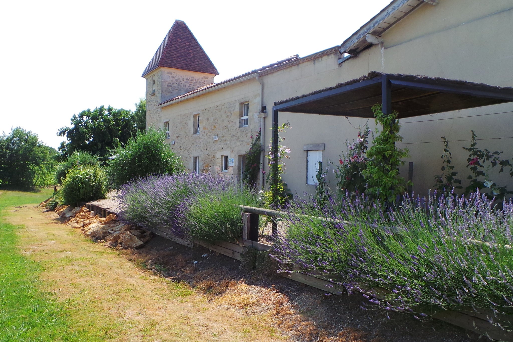 Renovated dovecot with pool, in the vineyards near Bordeaux
