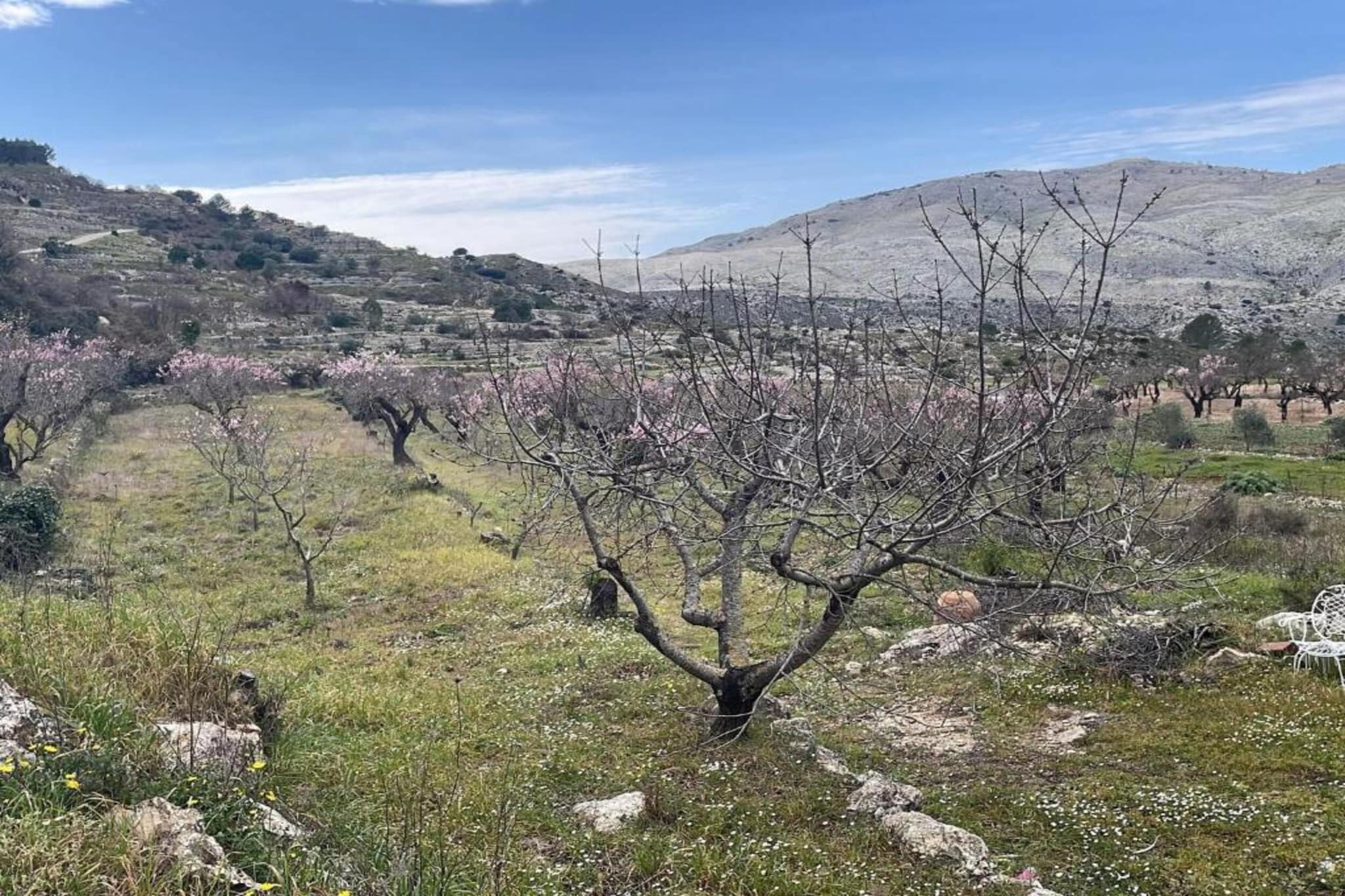 Finca Caballo Verde-Gebiete Sommer 5 km