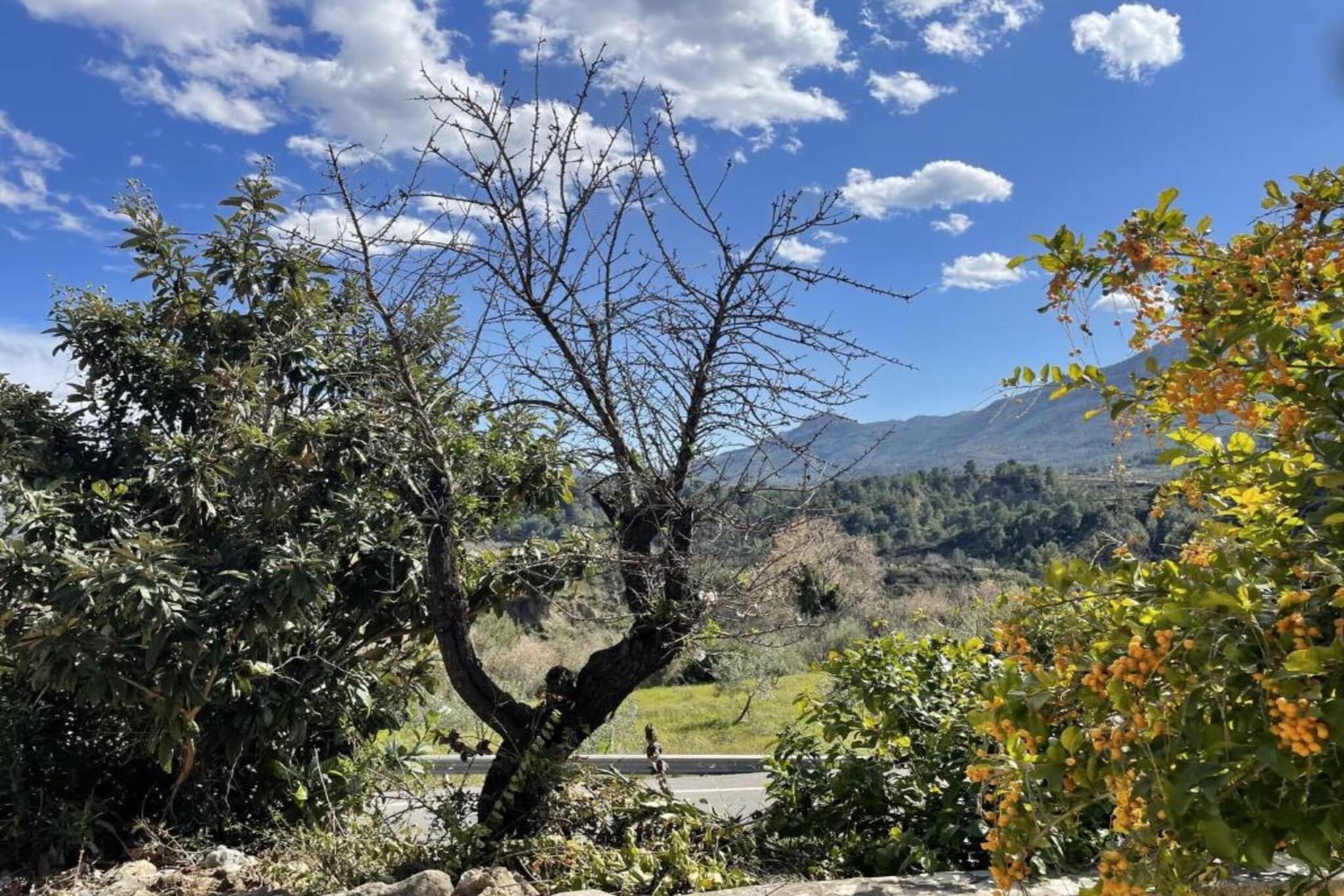 Finca Caballo Verde-Gebiete Sommer 5 km