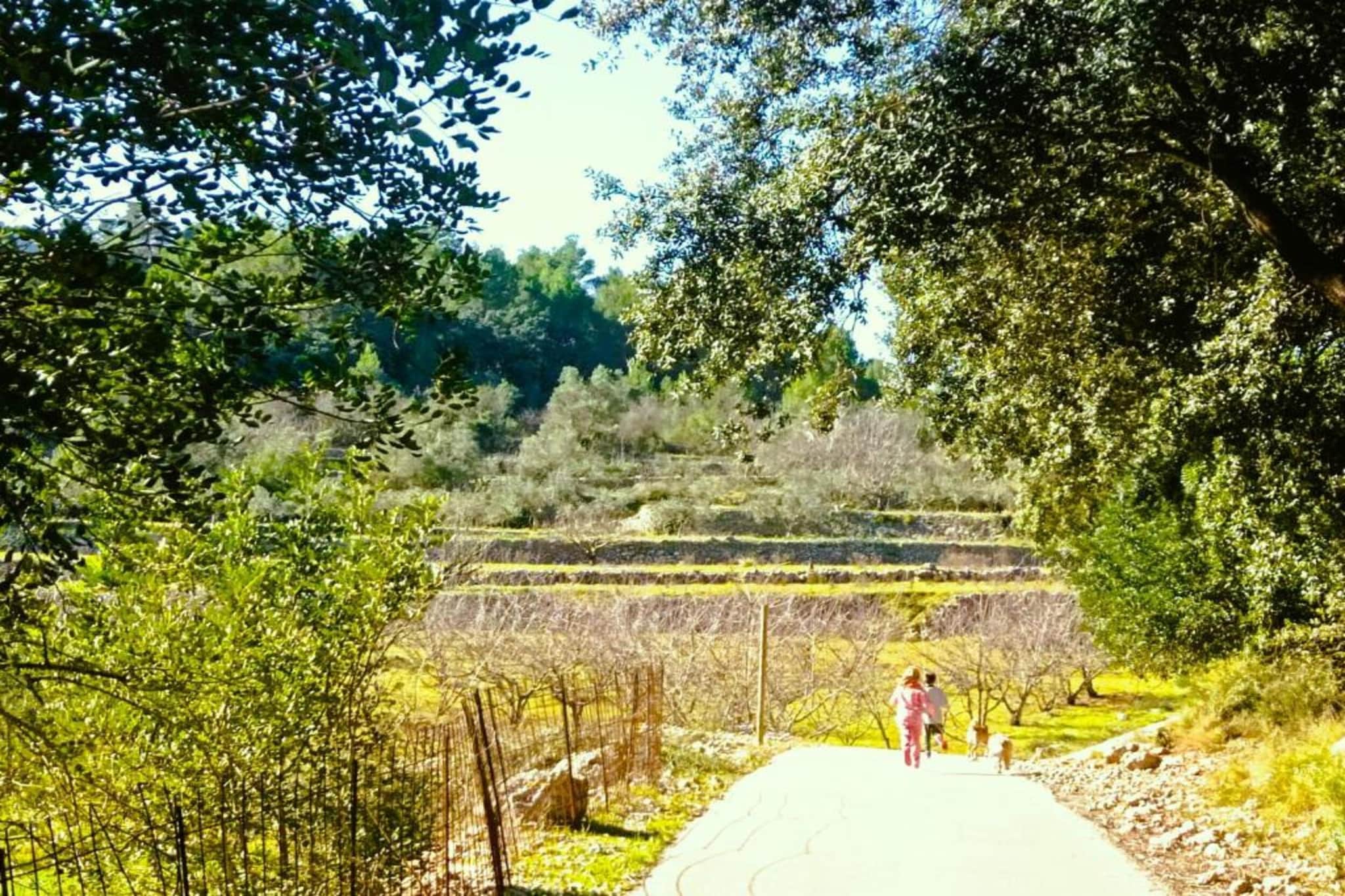 Finca Caballo Verde-Gebiete Sommer 5 km