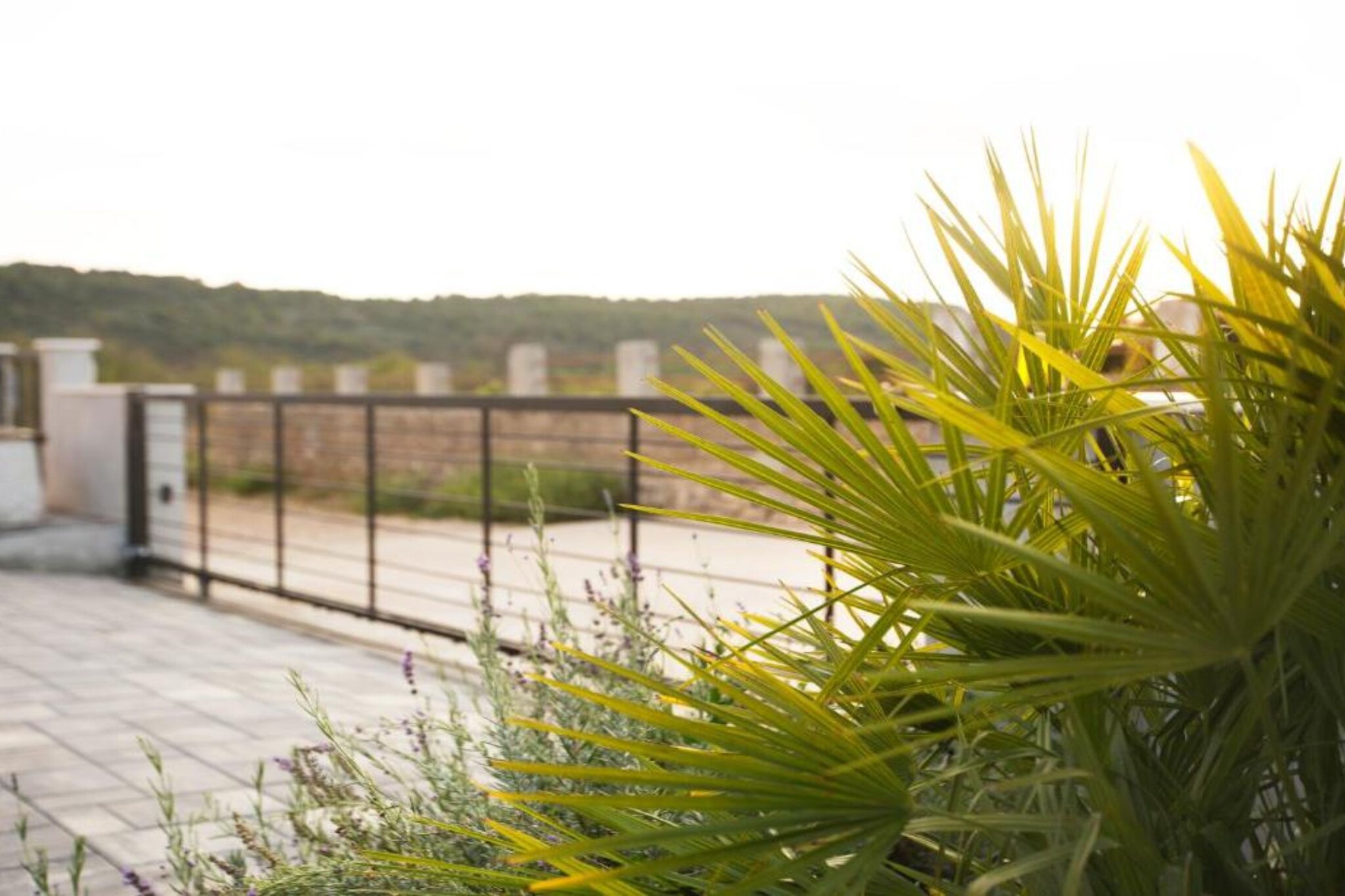 Adriatic Pearl - FourBedroom Villa with heated pool - Faciliteiten