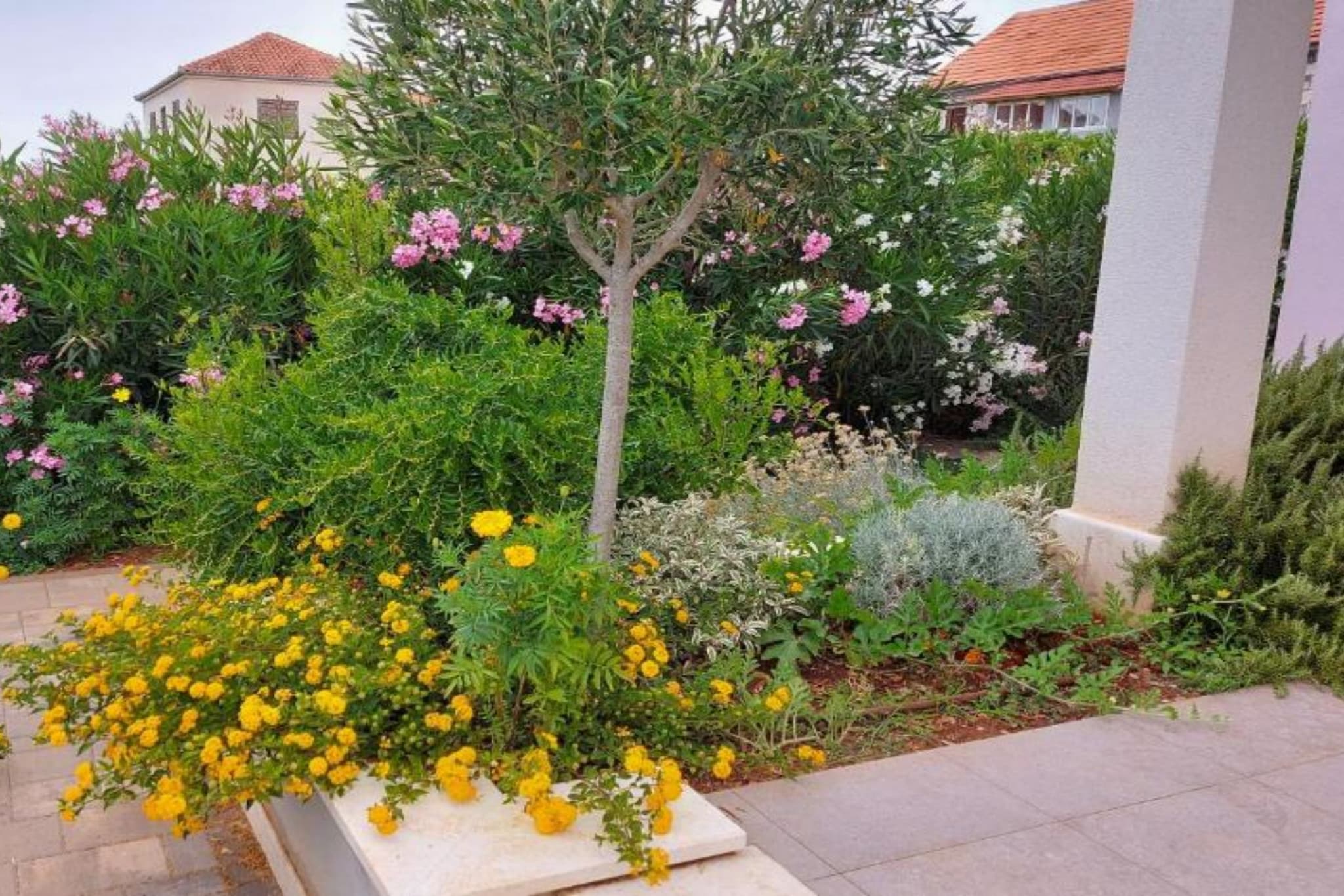 Adriatic Pearl - FourBedroom Villa with heated pool - Tuinen zomer