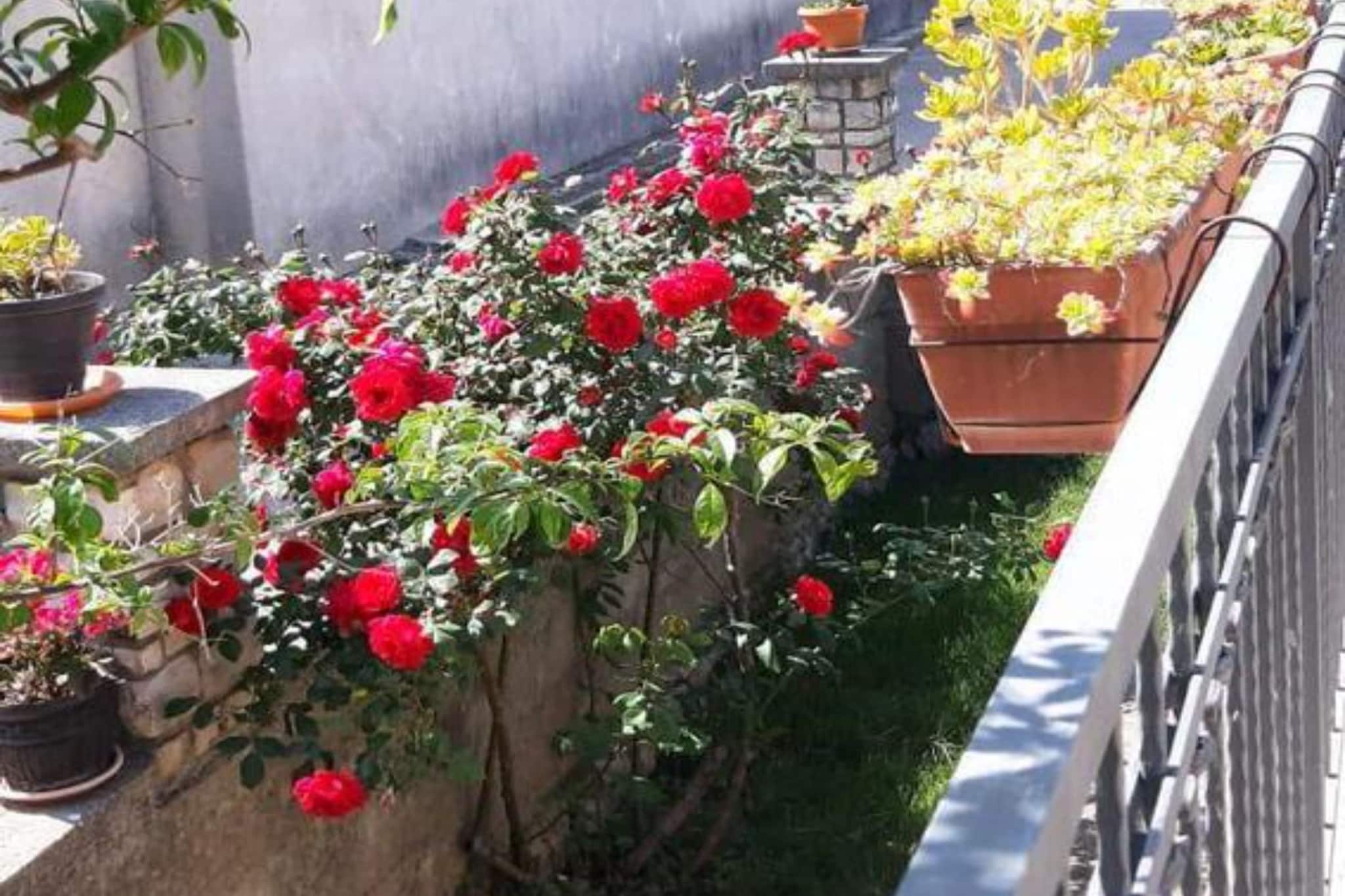 Casa Dolce Mare -  ThreeBedroom Holiday Home with Terrace - Terrasse