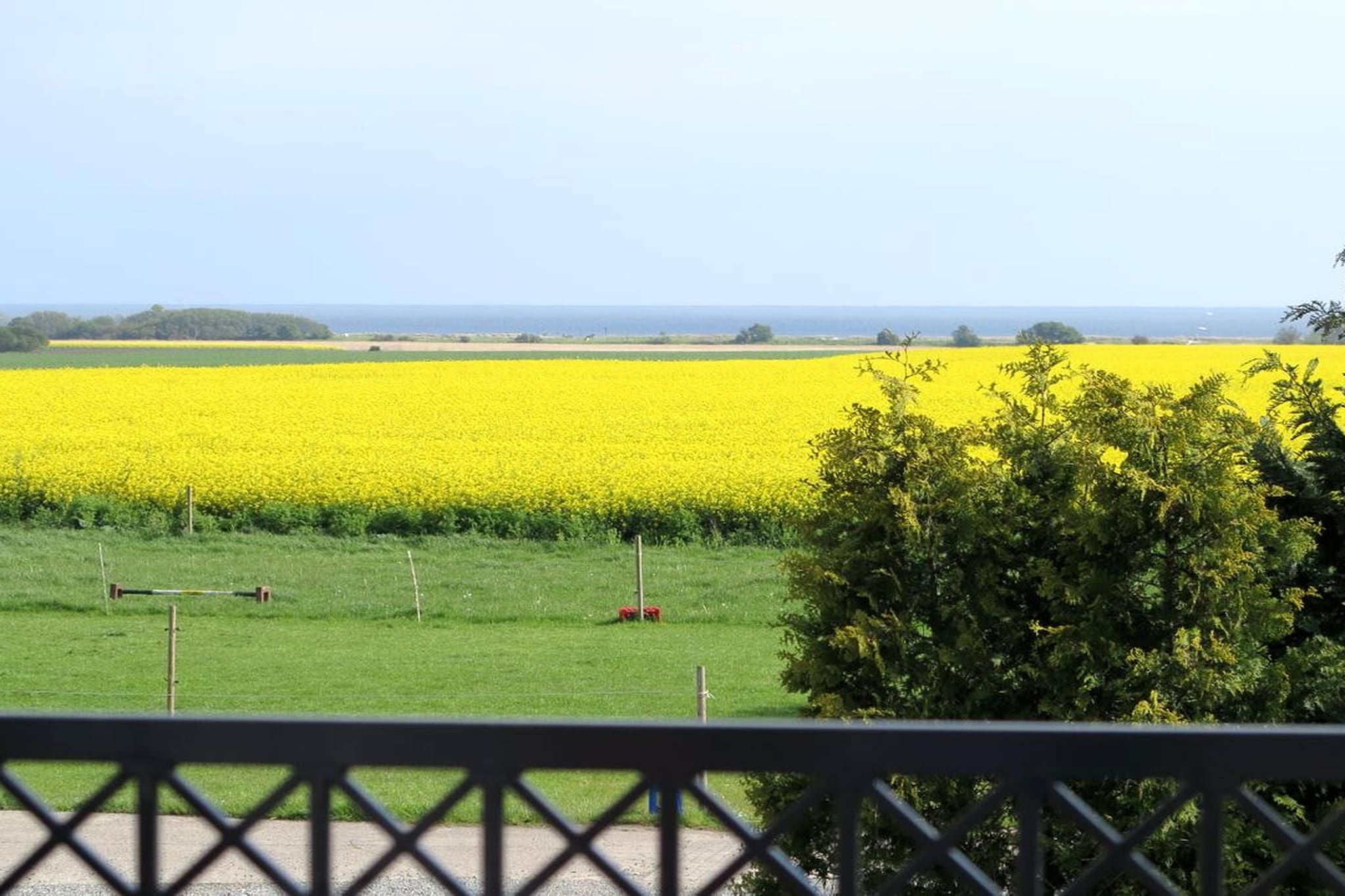 View Summer