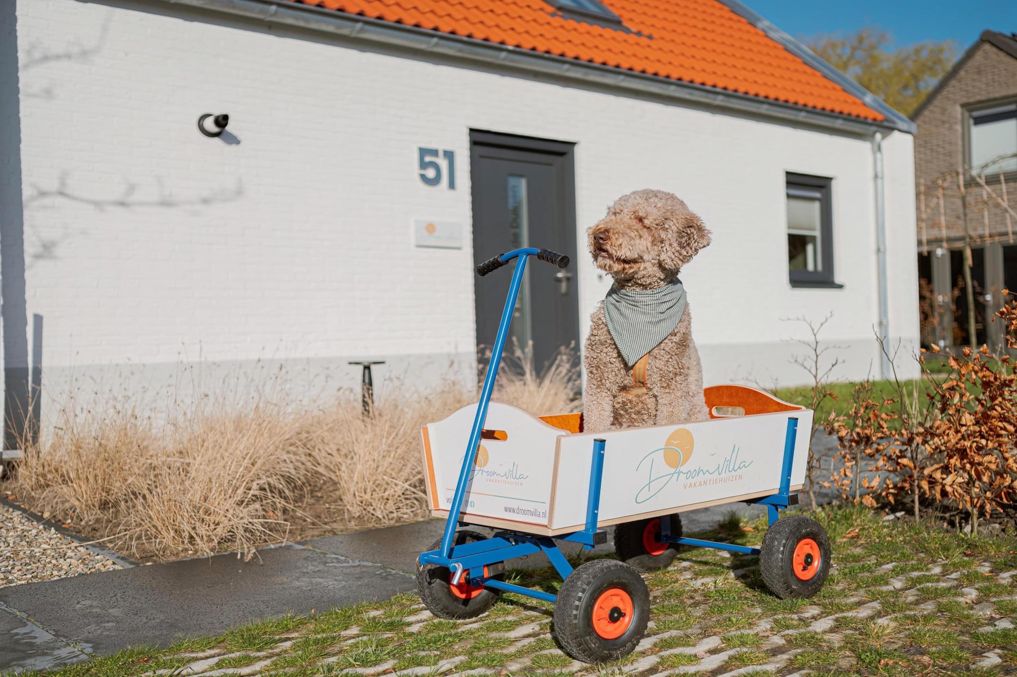Dromen in de duinen - 51 - Sfeer