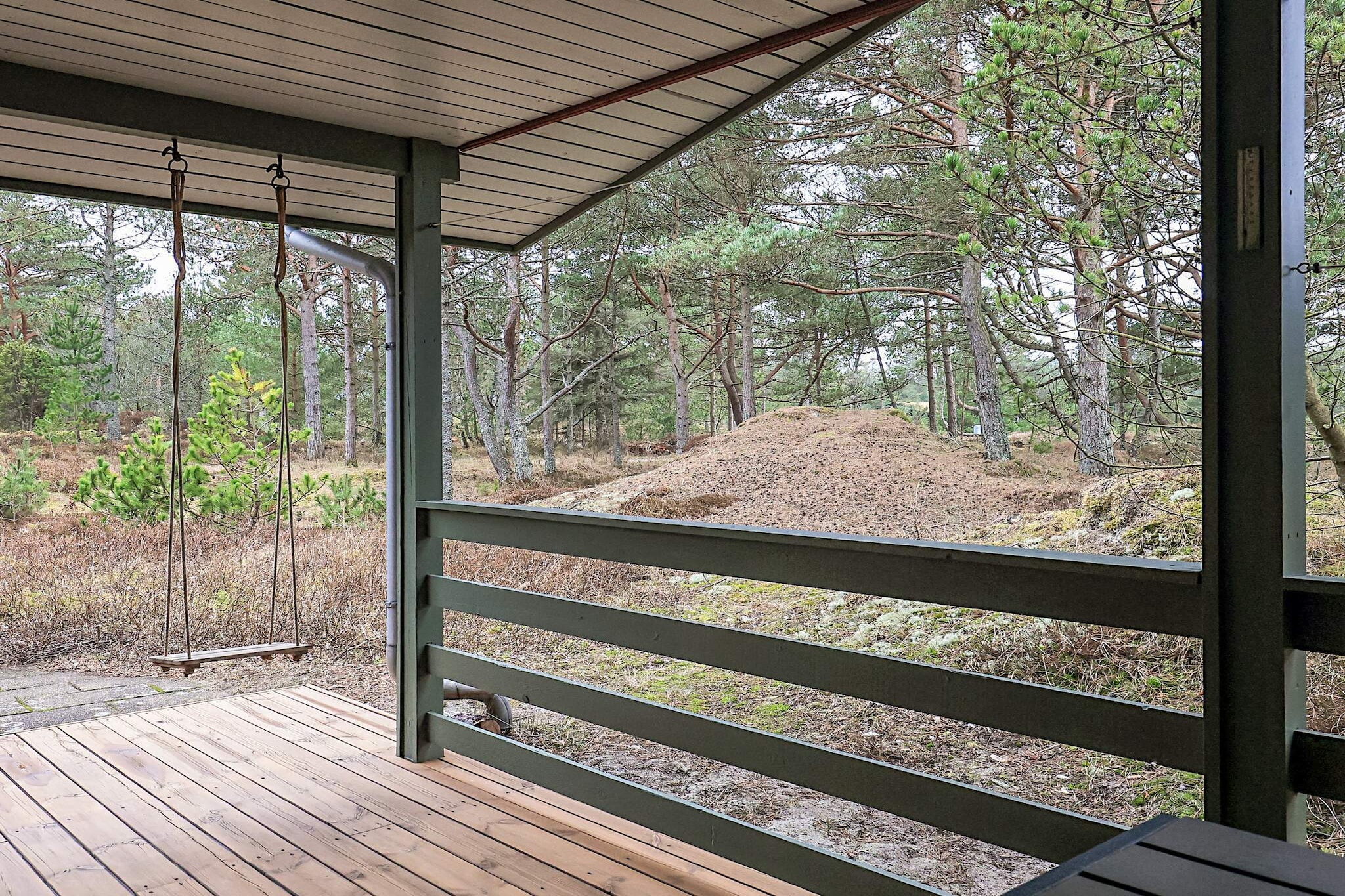 6 Personen vakantie huis in Ålbæk - Uitzicht