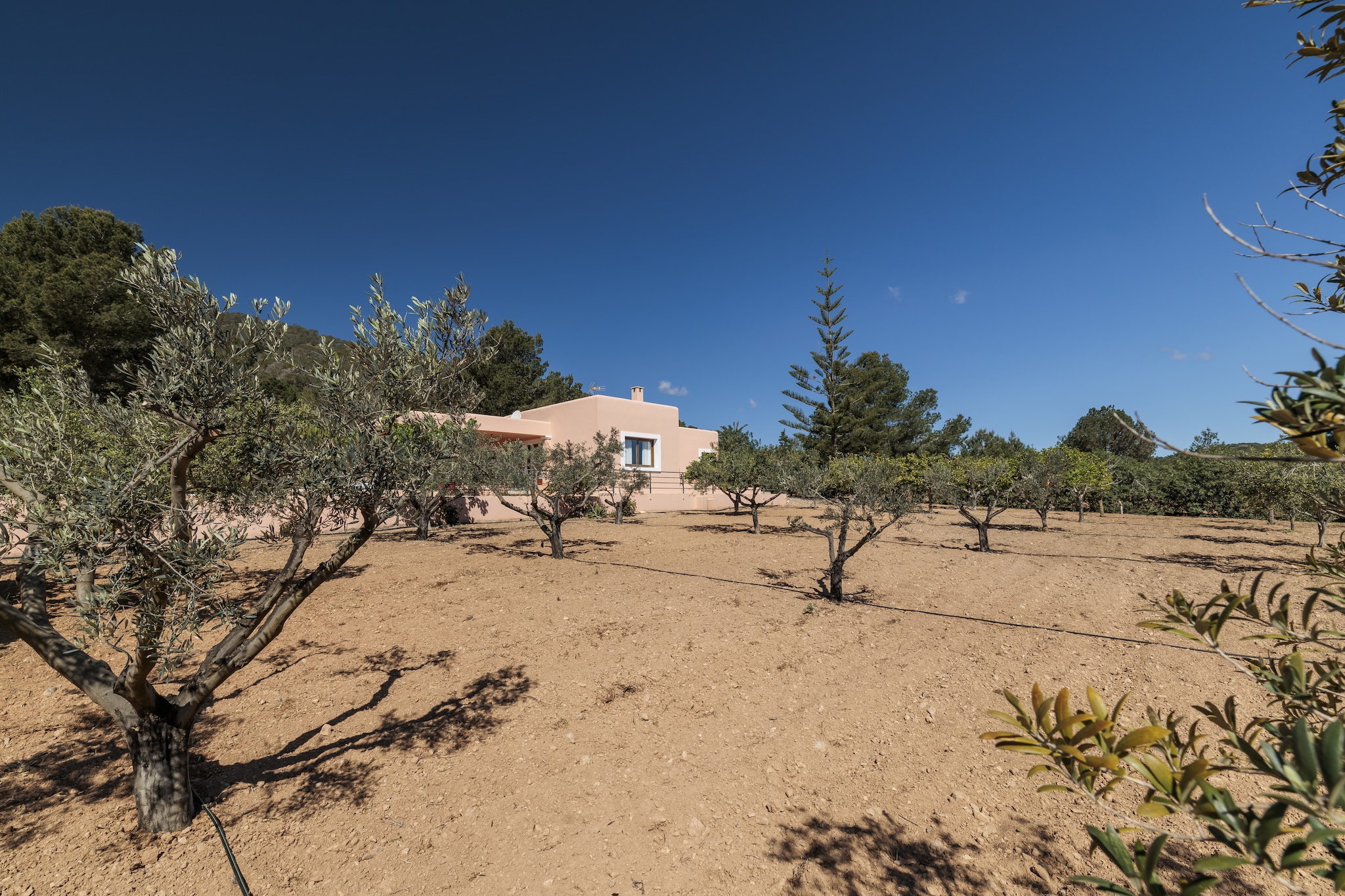 VILLA MIQUELA EN CALA BOIX - Gebieden zomer 1km