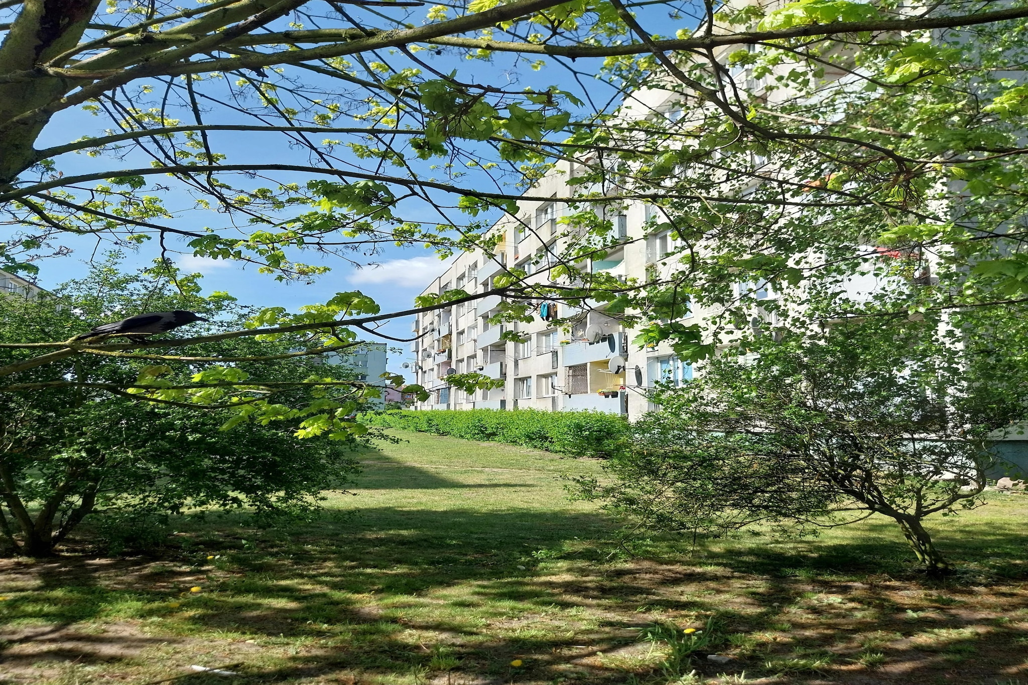Holiday apartment for 2 people, Świnoujście