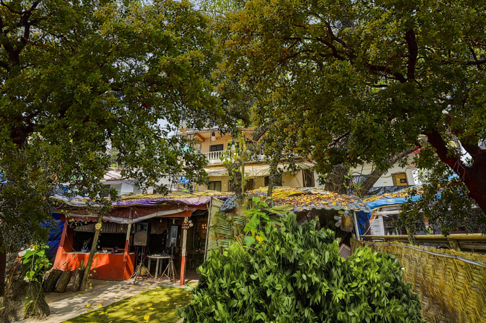 India