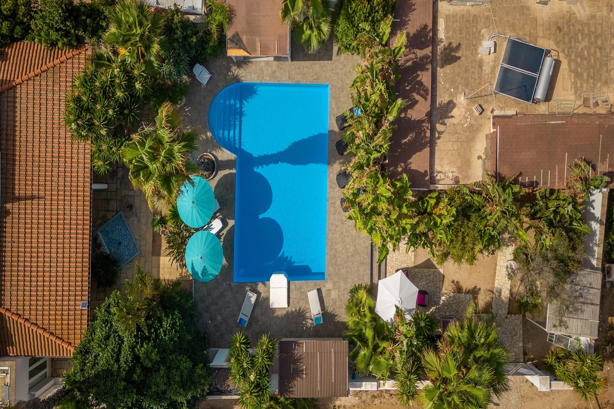 Villa Cotriero Crystal - Gallipoli - Buitenkant zomer