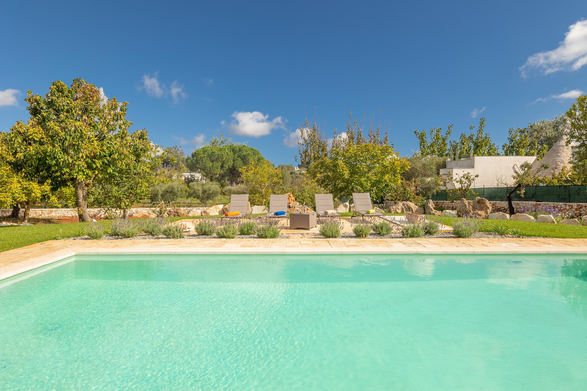 Trullo Adea - Ceglie Messapica - Untagged