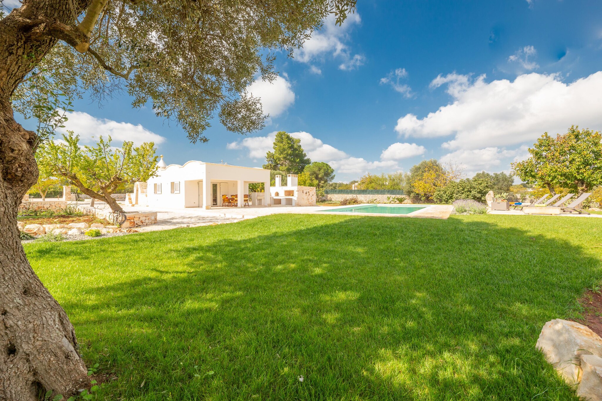 Trullo Adea - Ceglie Messapica - Untagged