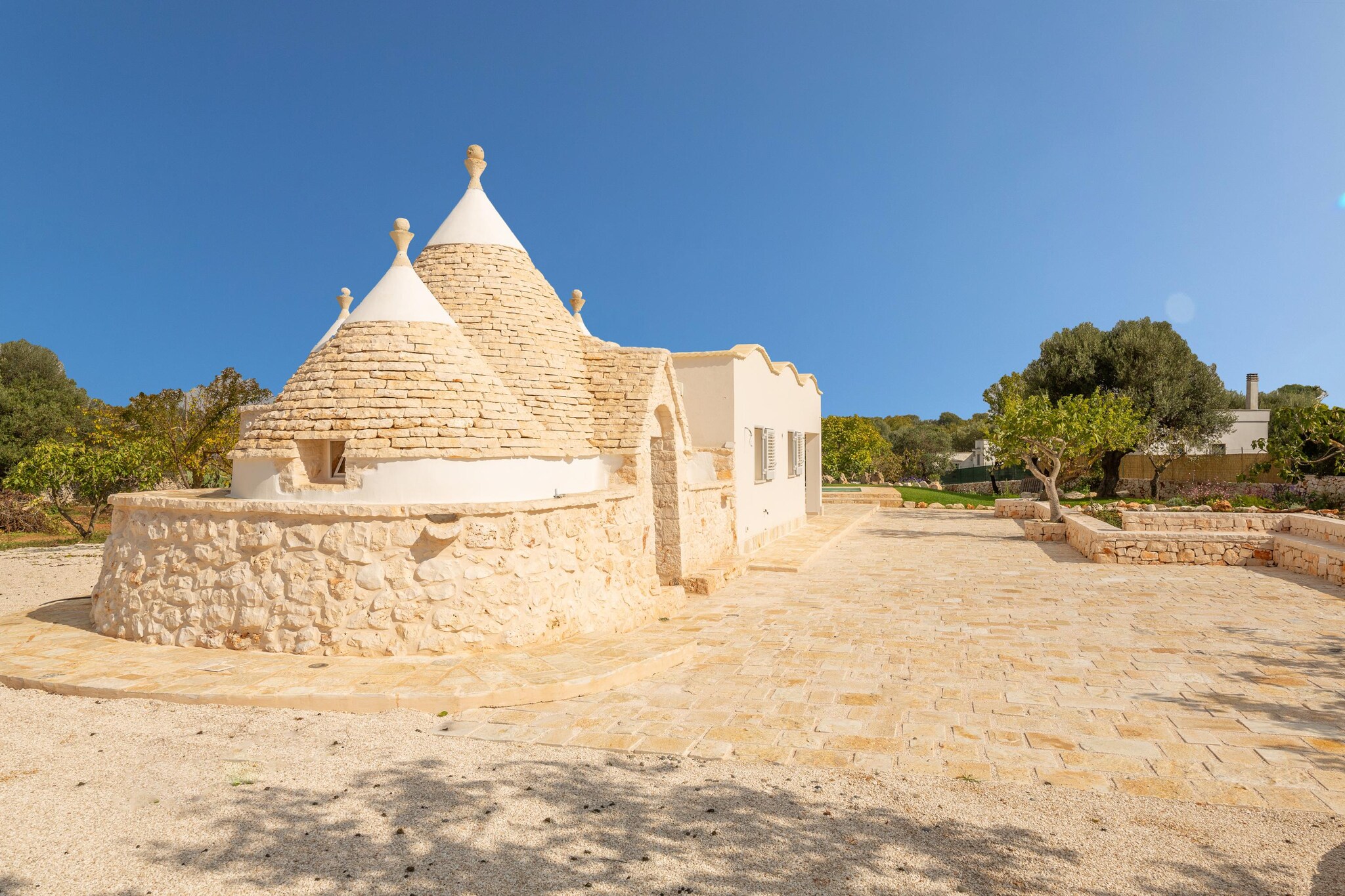 Trullo Adea - Ceglie Messapica - Untagged