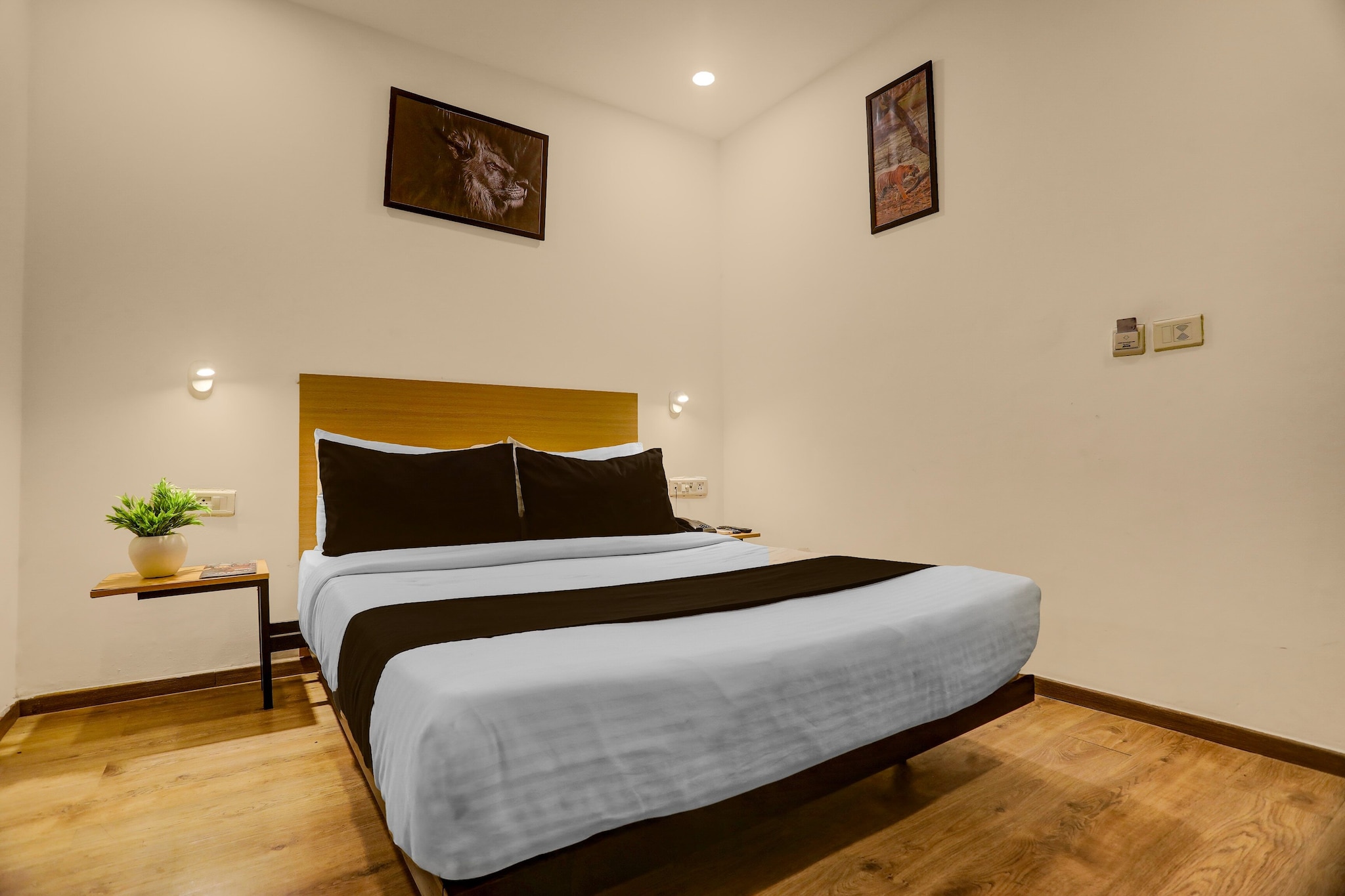 Townhouse Mumfordganj APS Inn