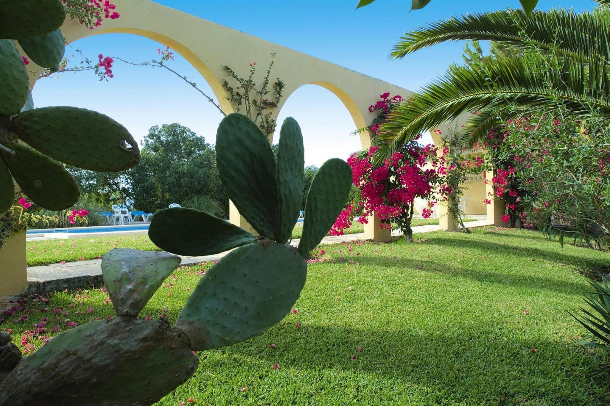 Apartamento Deluxe - Gardens in summer