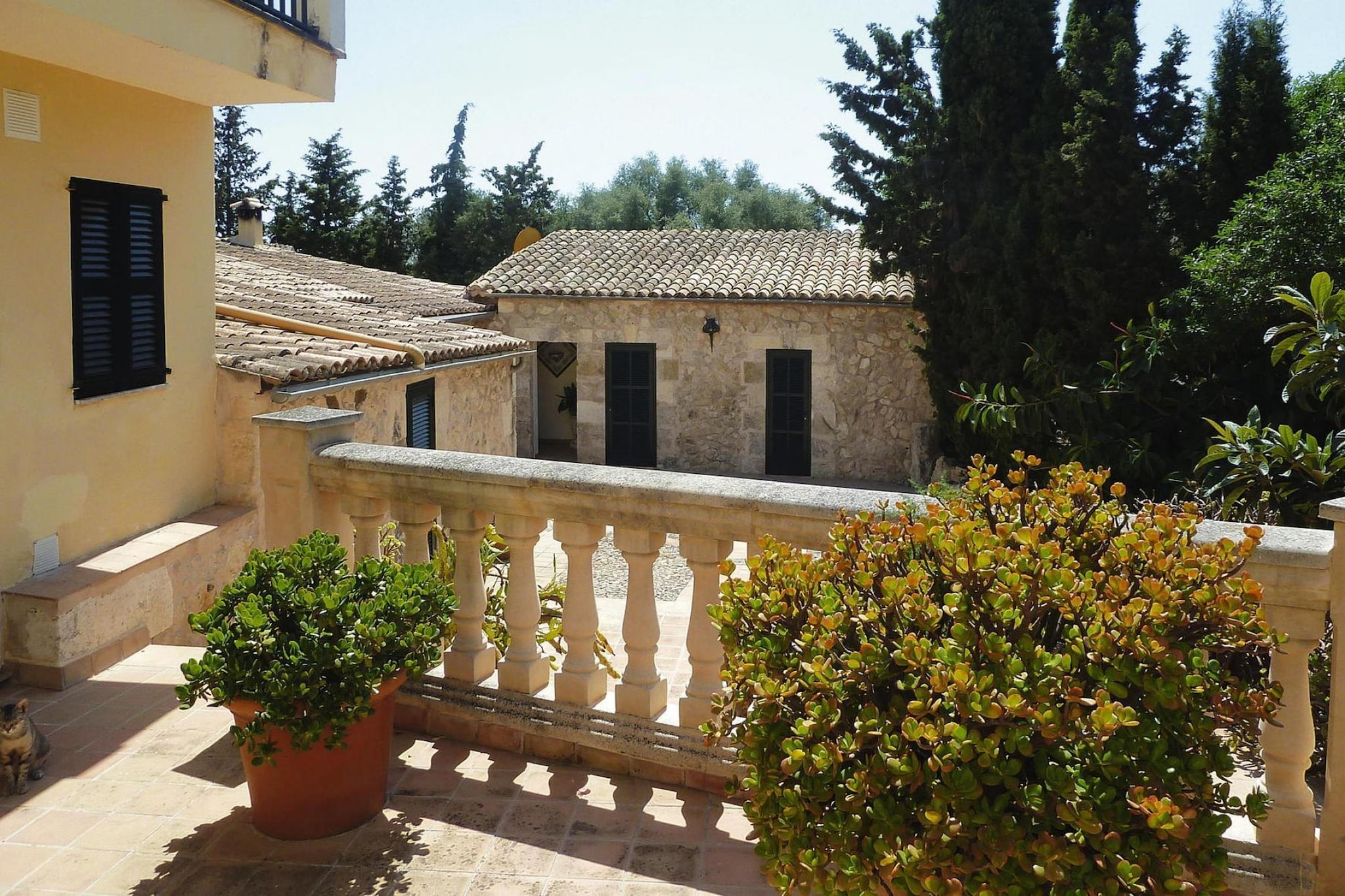 Apartamento Deluxe - View in summer