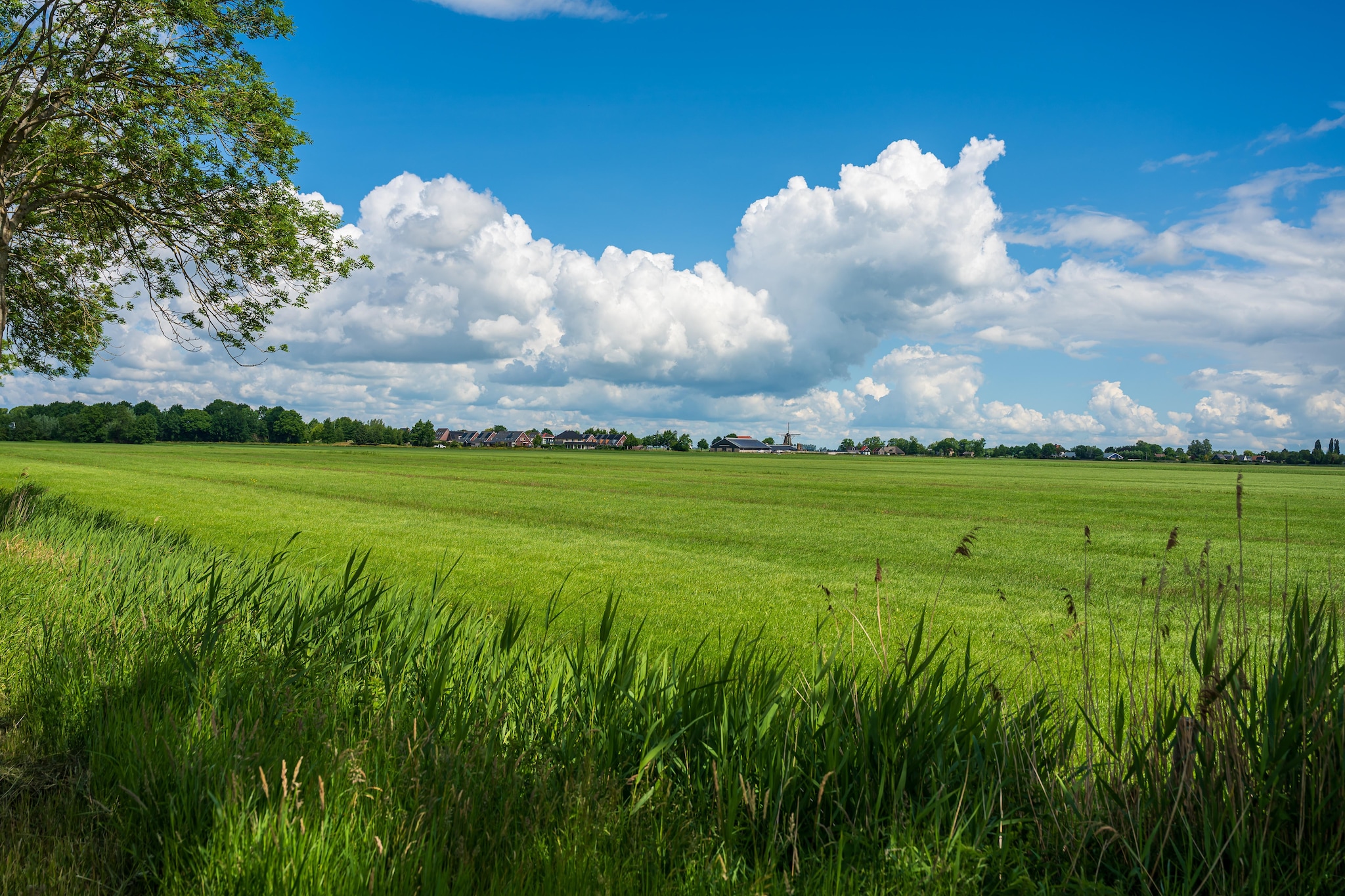 De Stevenshoek - Gebieden zomer 1km