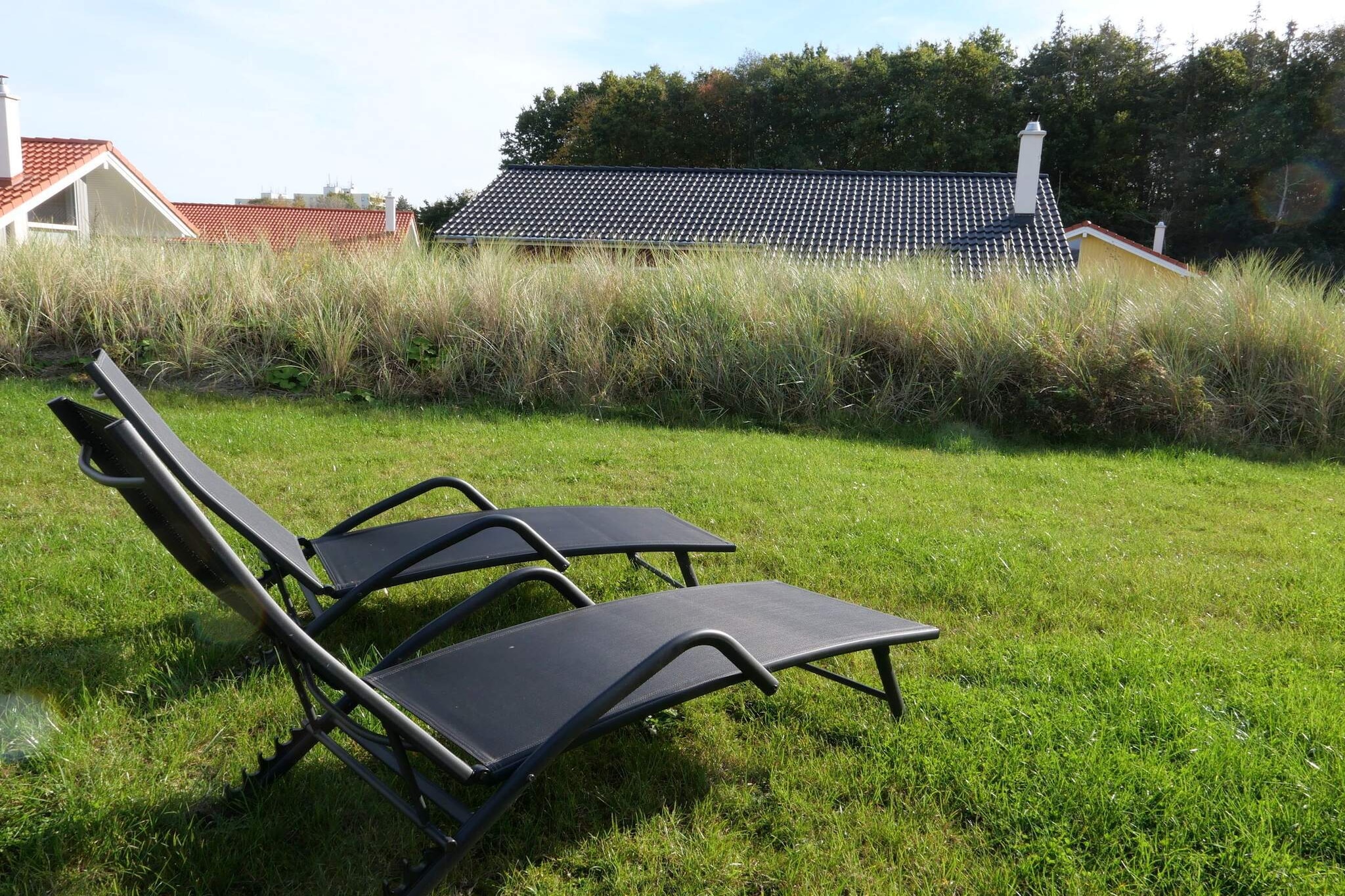 Paysages champêtres près de Fehmarnsund - Extérieur