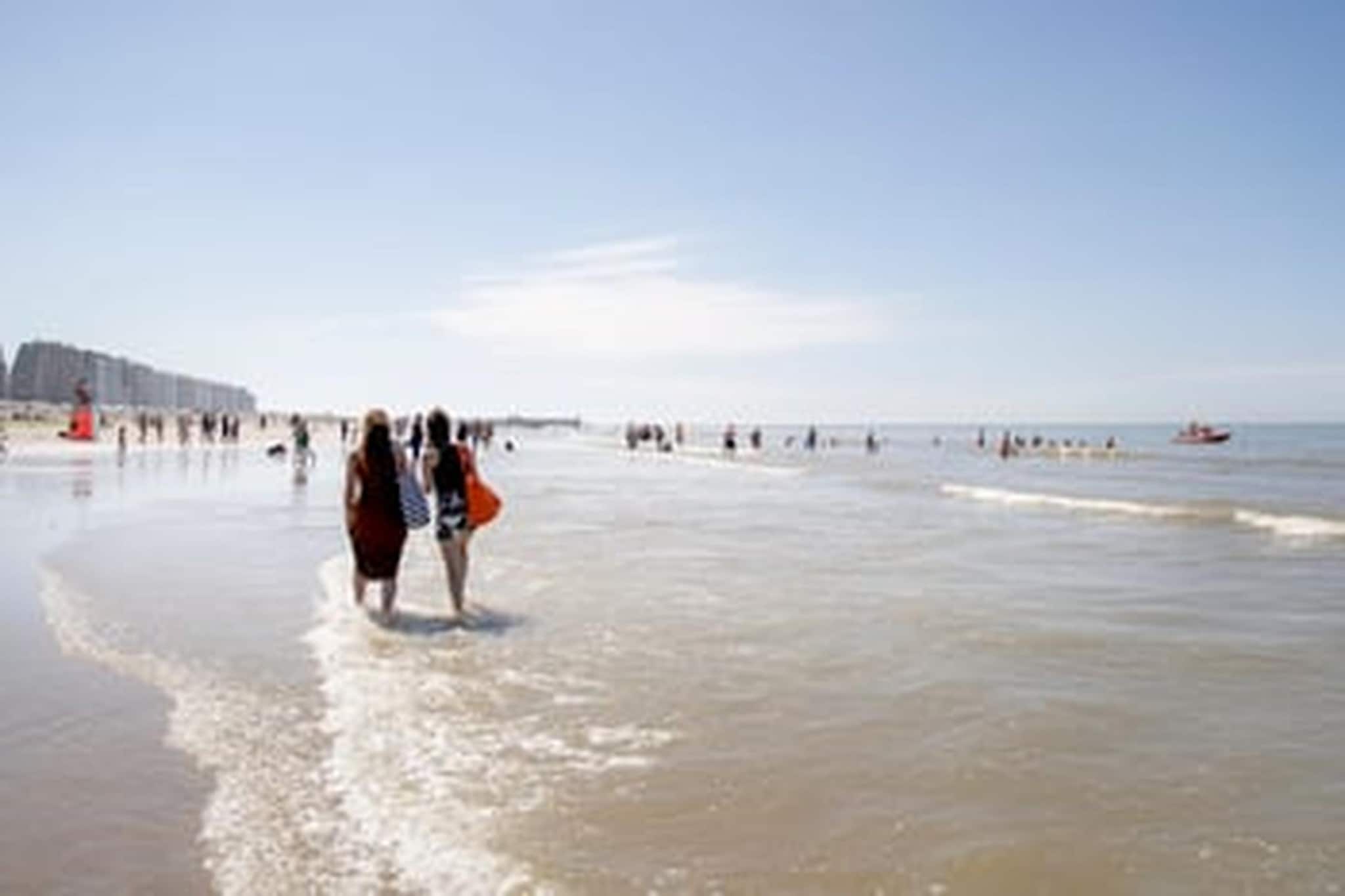 SEAFLOWER 5 - Gebieden zomer 1km