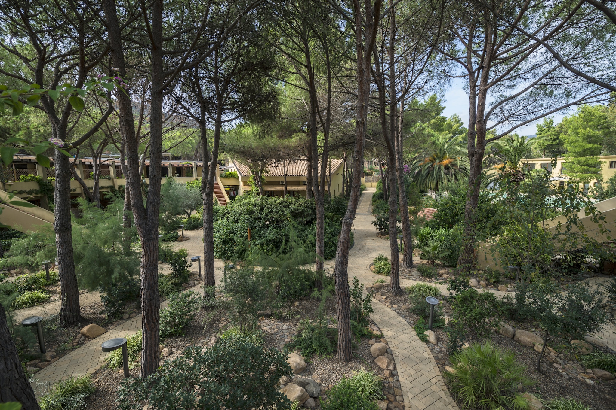 Garden Summer