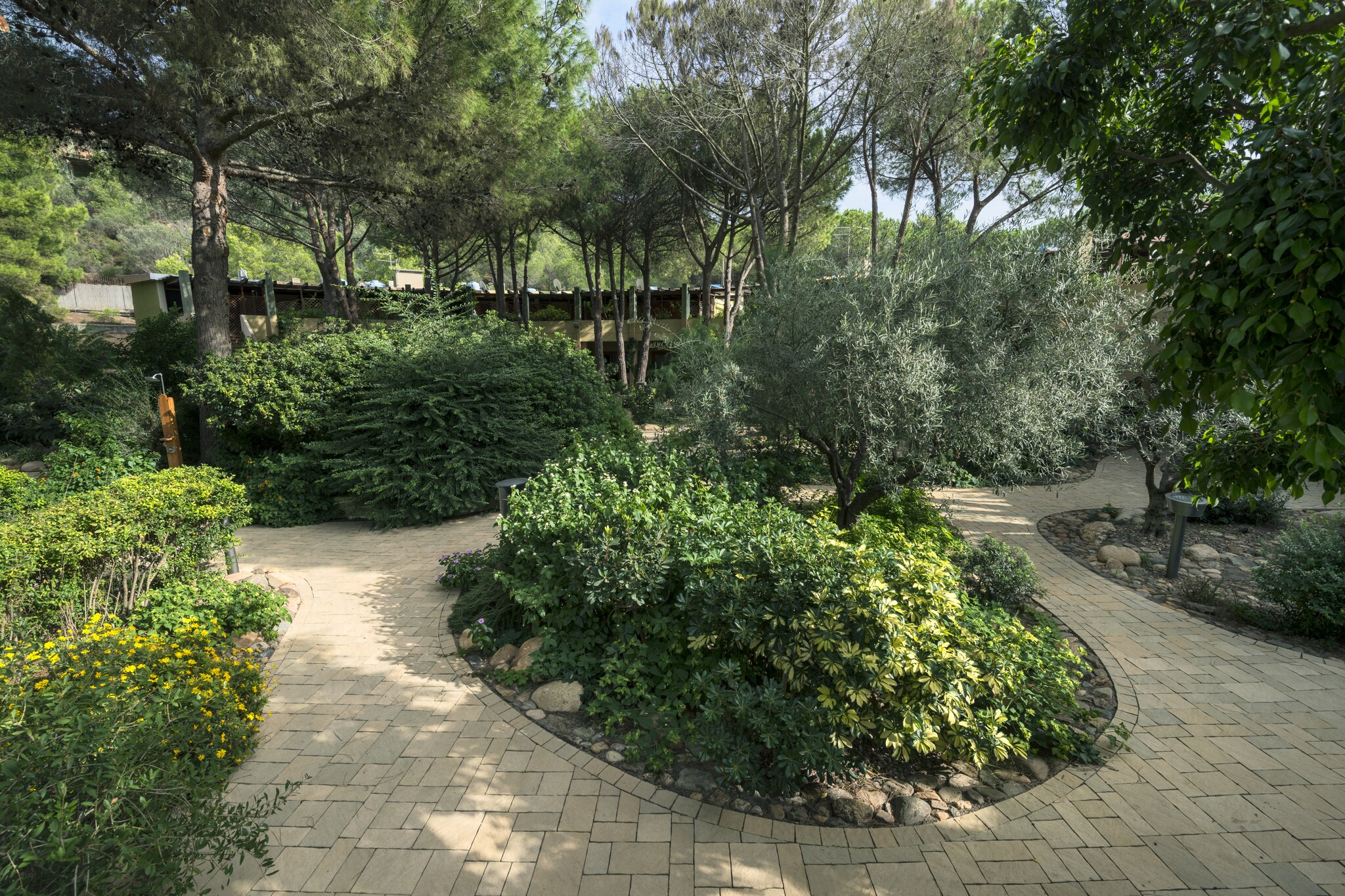 Garden Summer