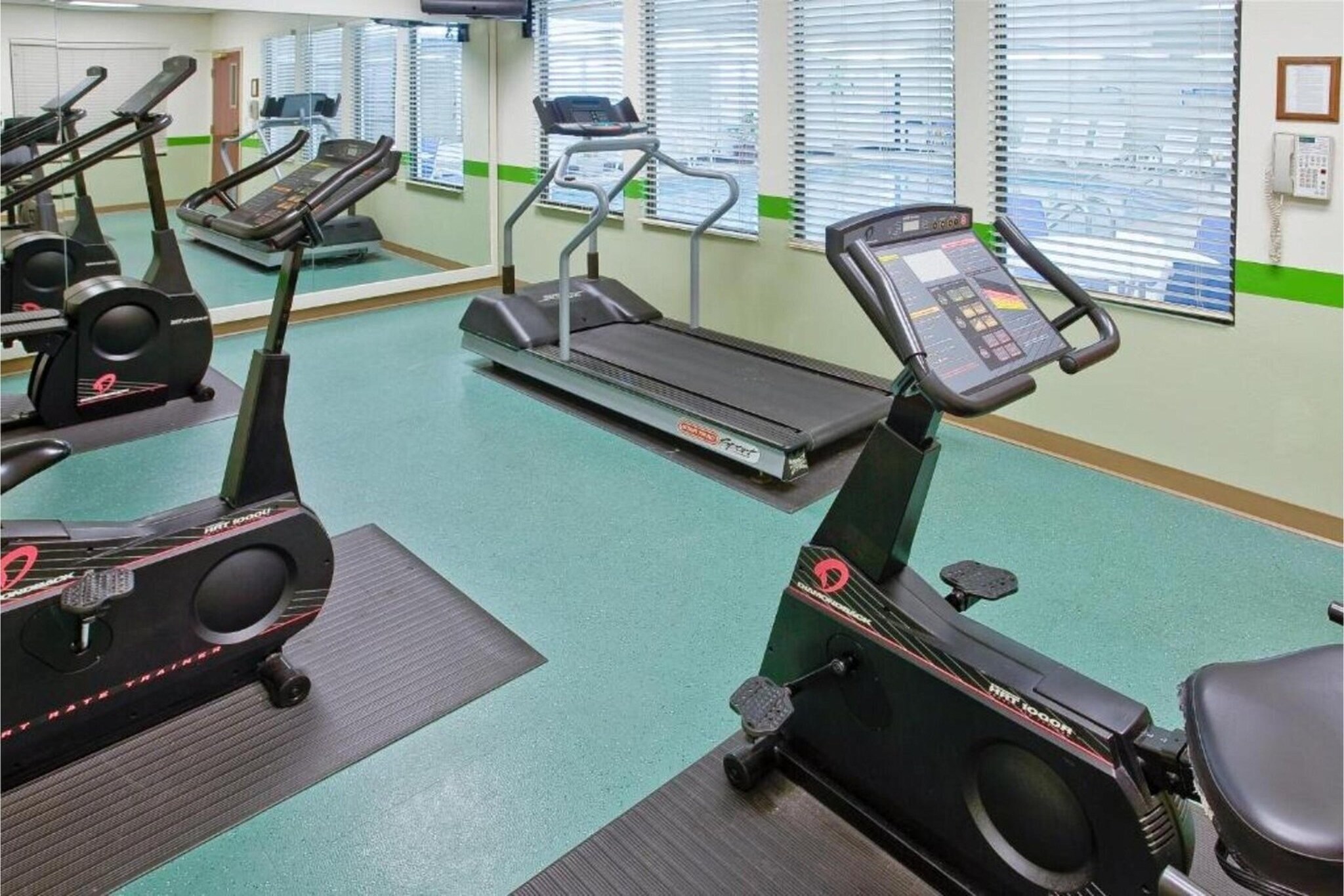 Wellness